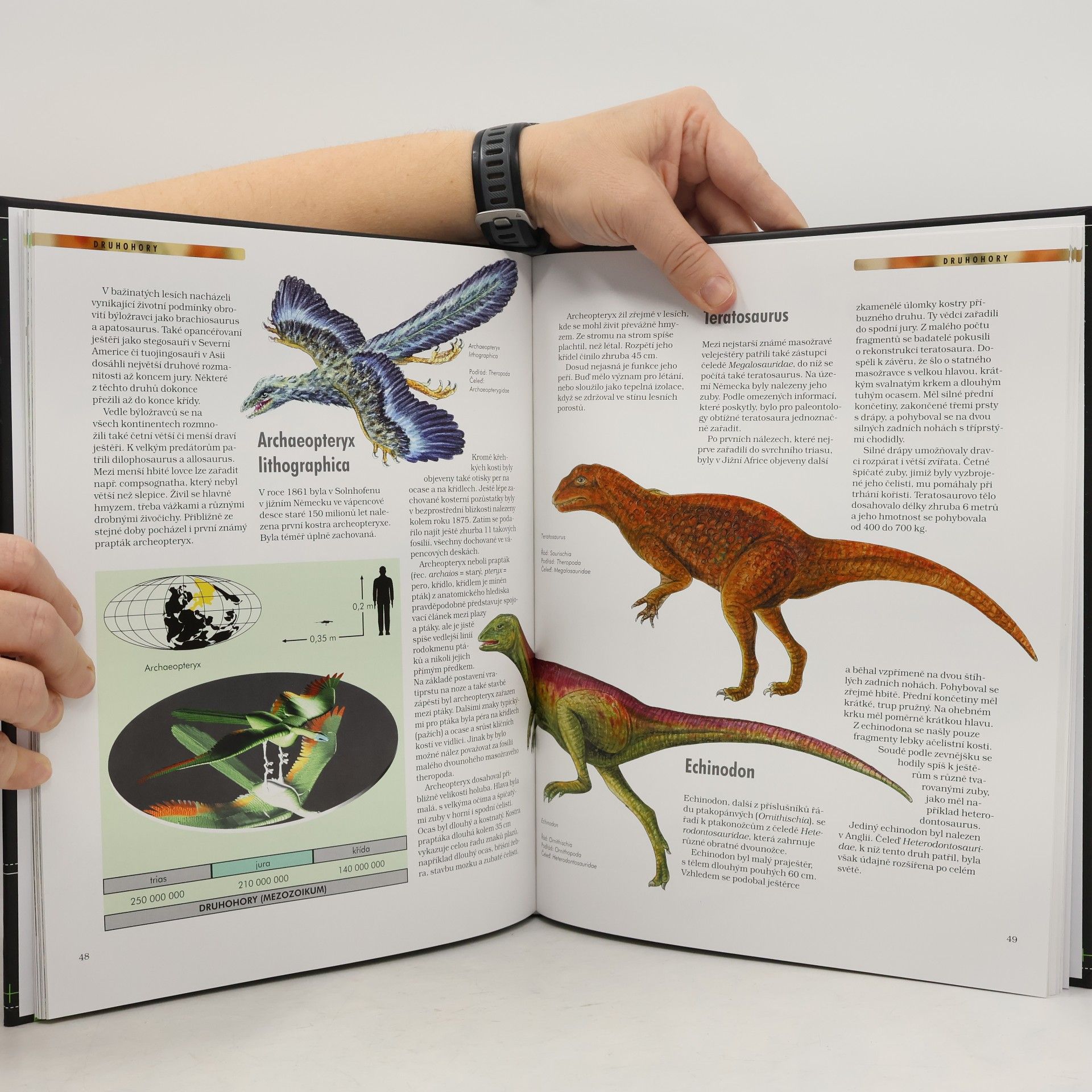 Collectif d'auteurs Dinosauři