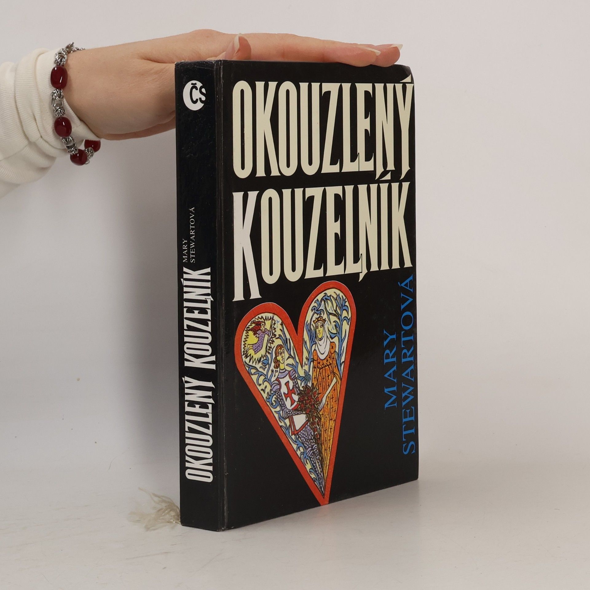 Mary Stewart Okouzlený kouzelník