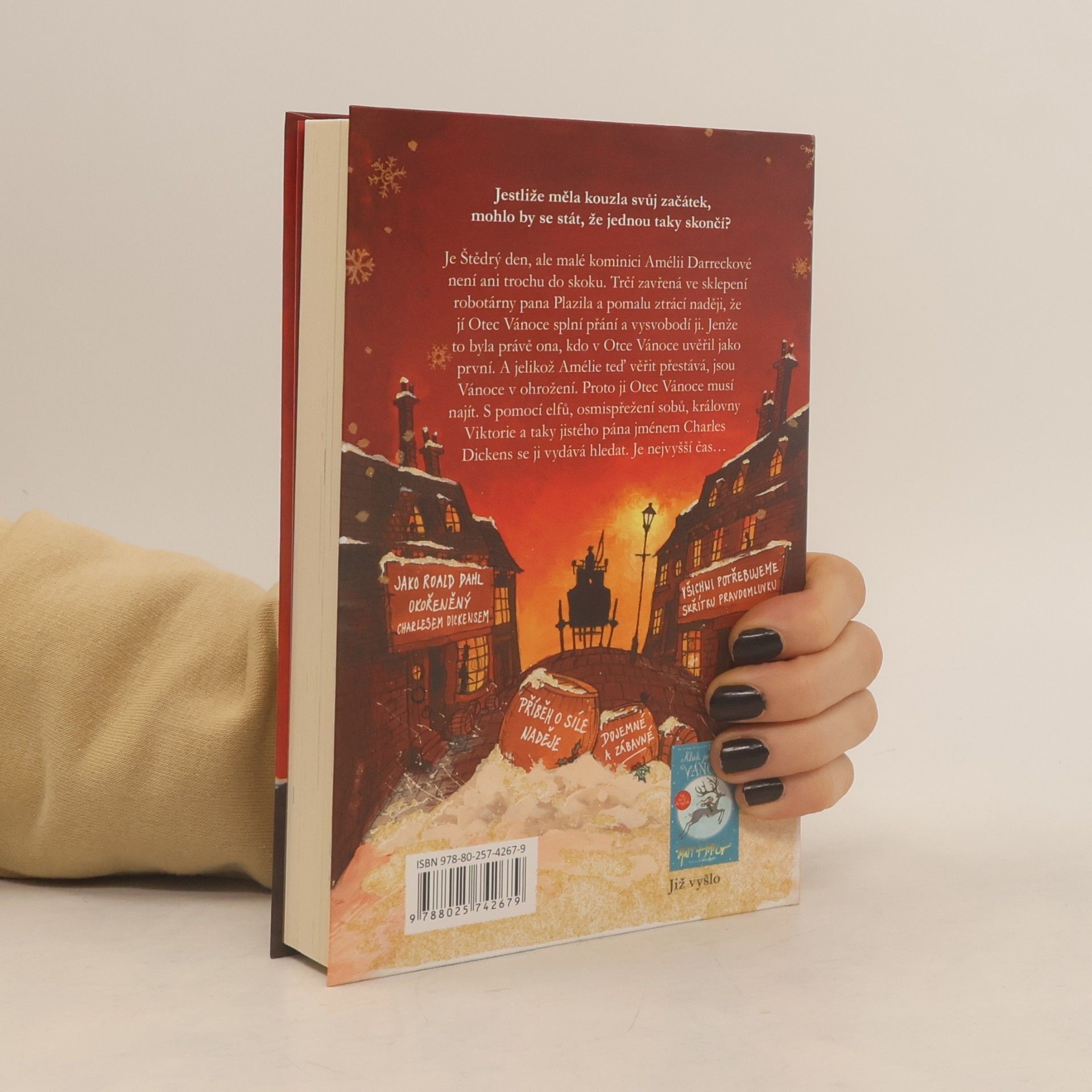 Matt Haig Holka, která zachránila Vánoce