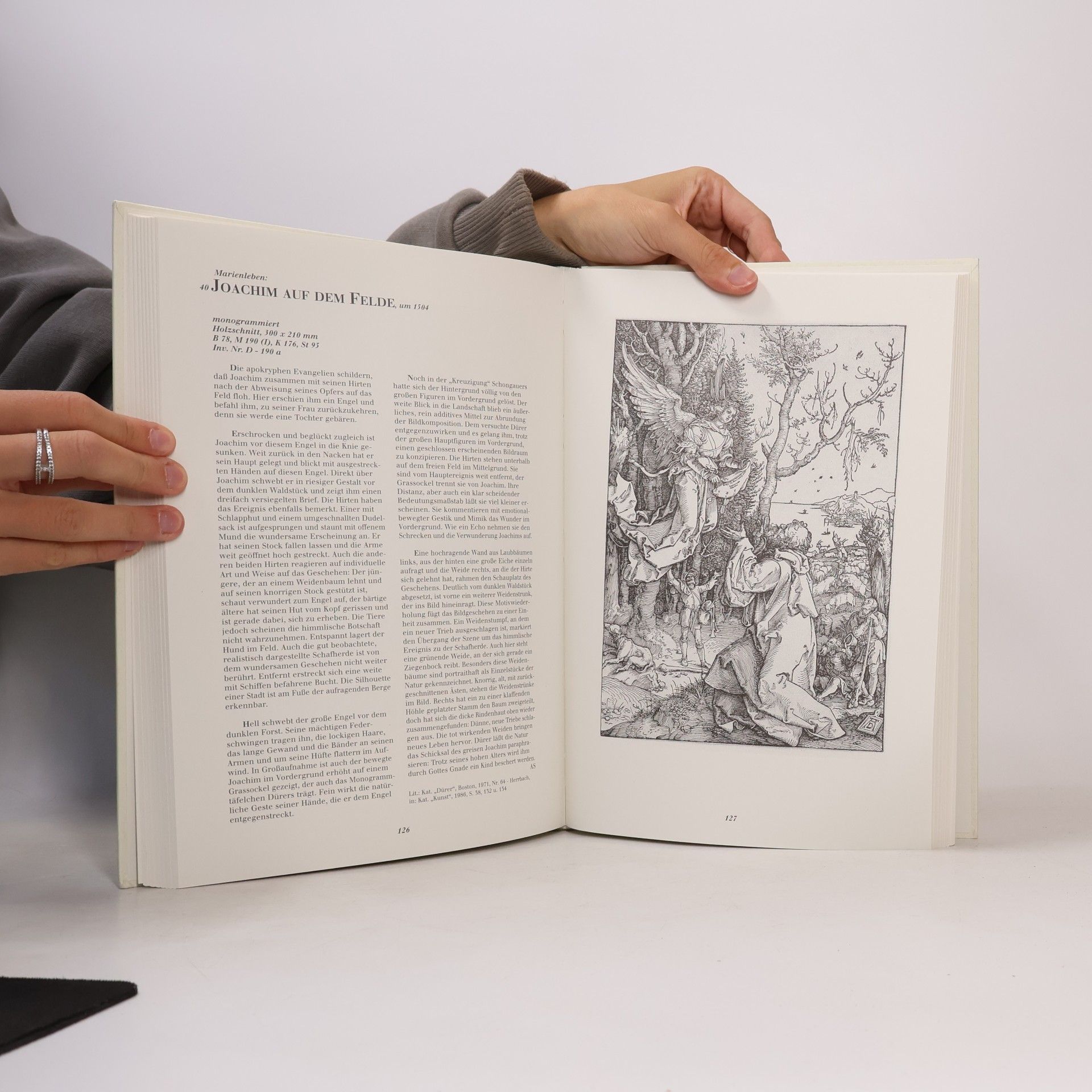 Norbert Wolf Albrecht Dürer