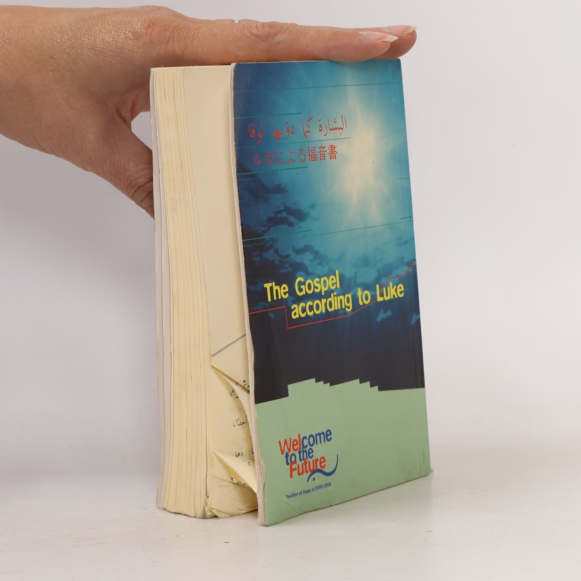 Various authors The Good News (The Gospel according to Luke)