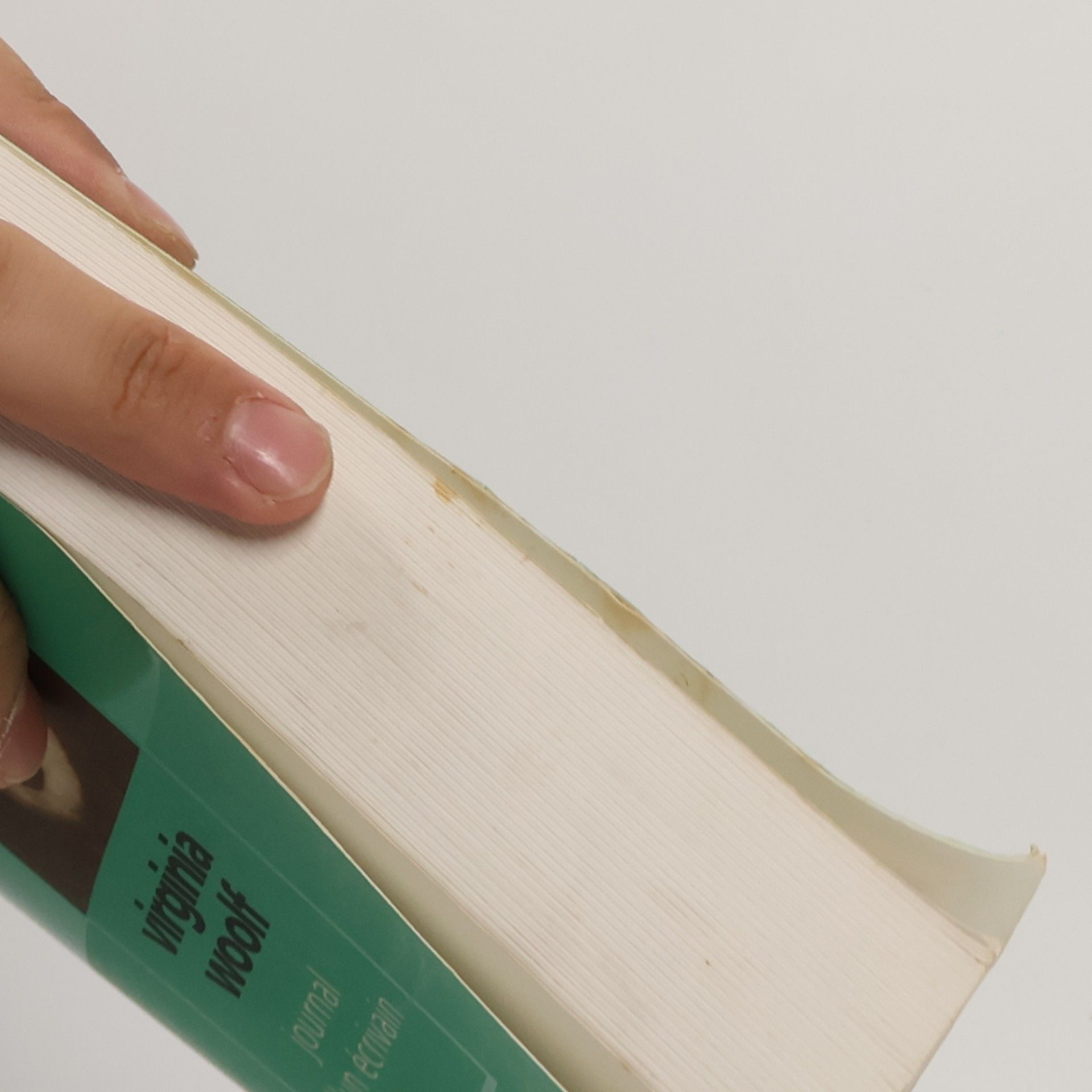 Virginia Woolfová Journal d'un écrivain