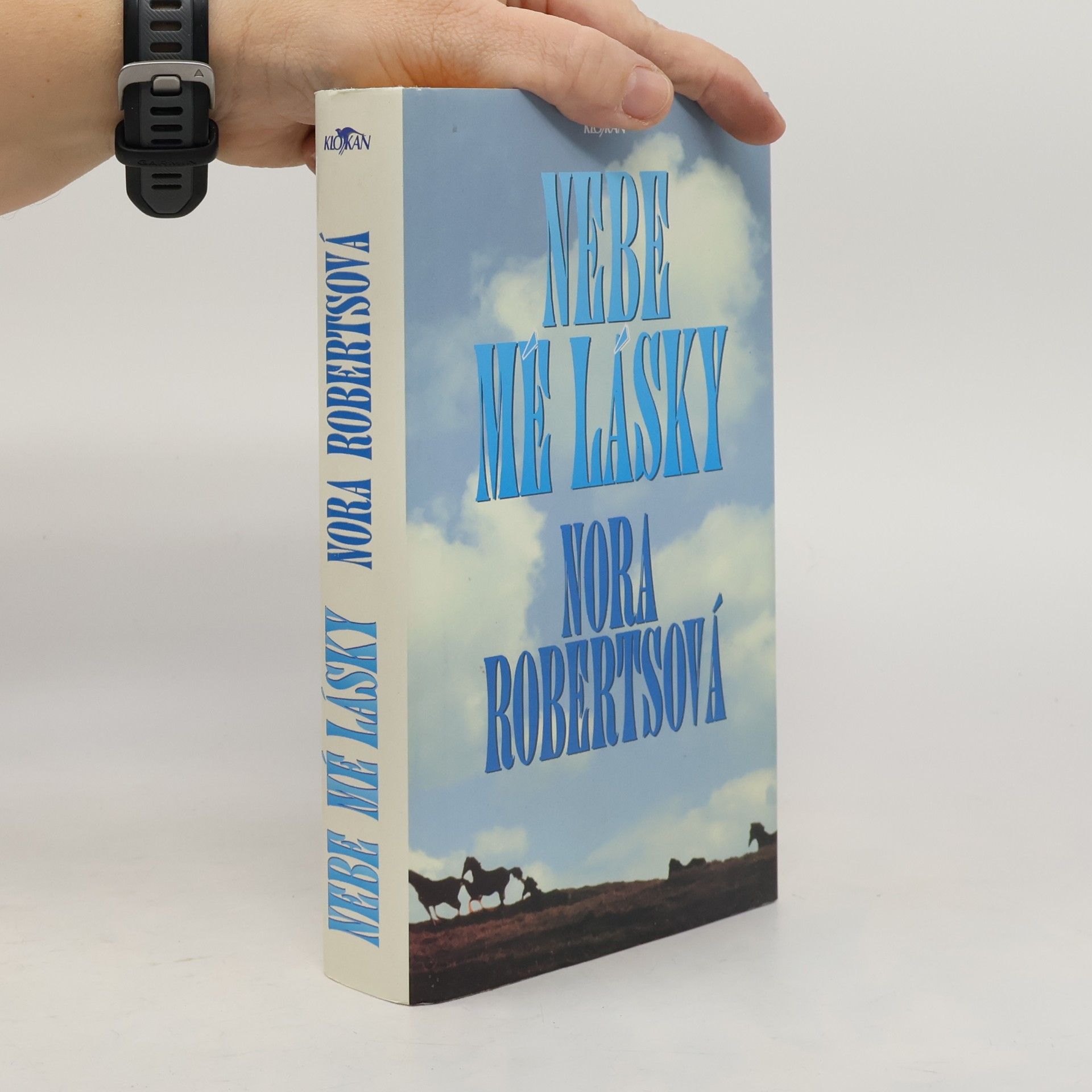 Nora Roberts Nebe mé lásky