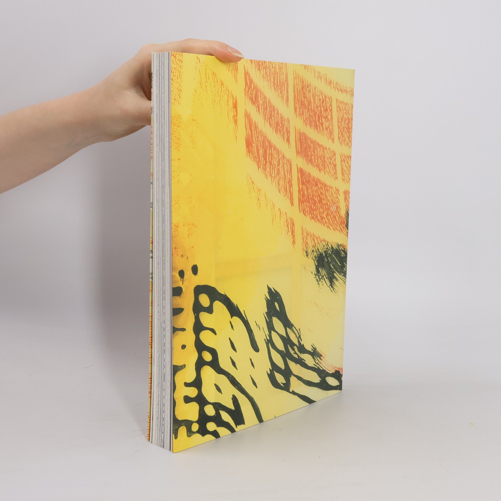 Sigmar Polke Die drei Lügen der Malerei
