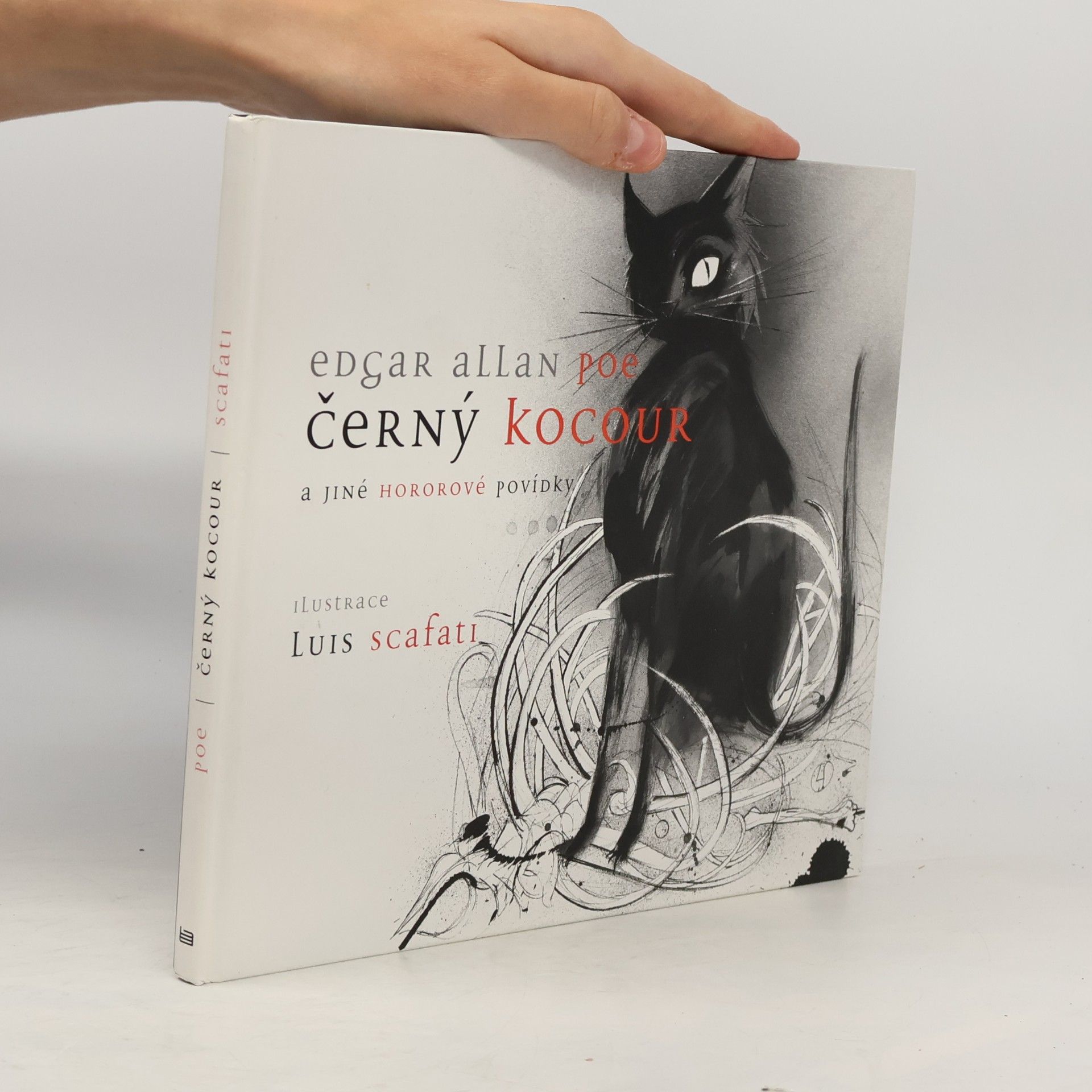 Edgar Allan Poe Černý kocour a jiné hororové povídky