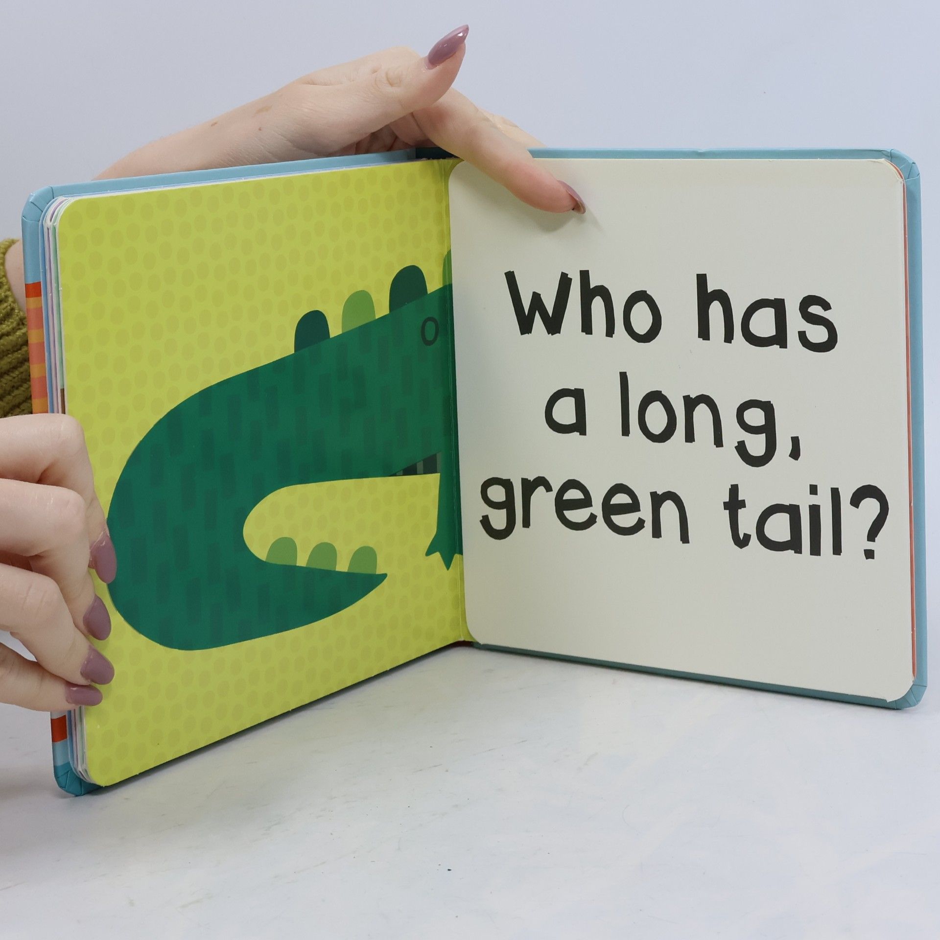 Autumn Publishing Who am I? Wild Animals