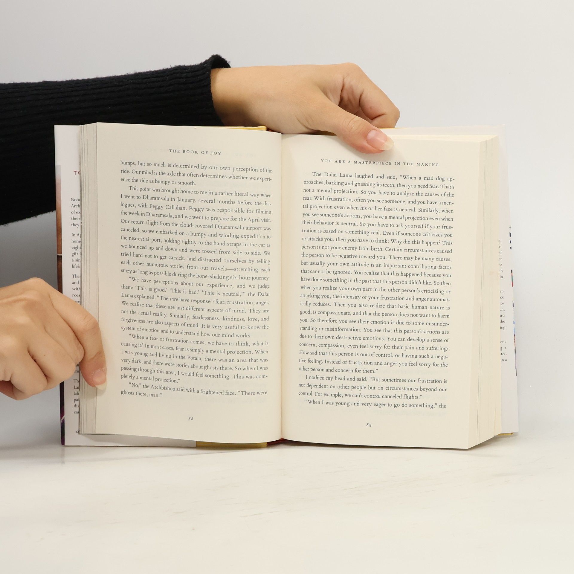 Various authors The Book of Joy