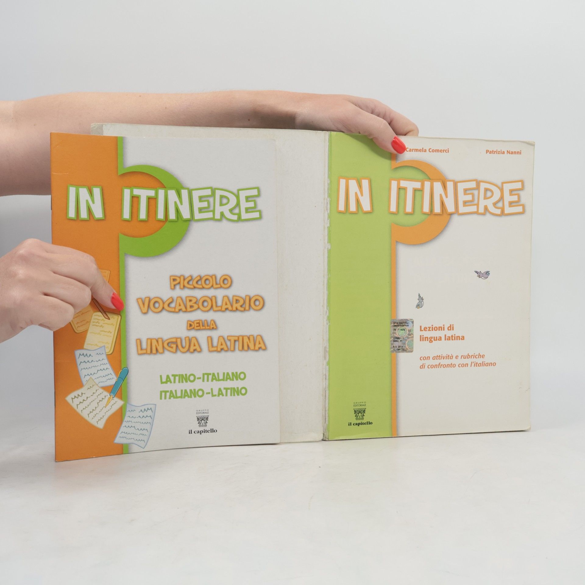 Carmela Comerci In itinere