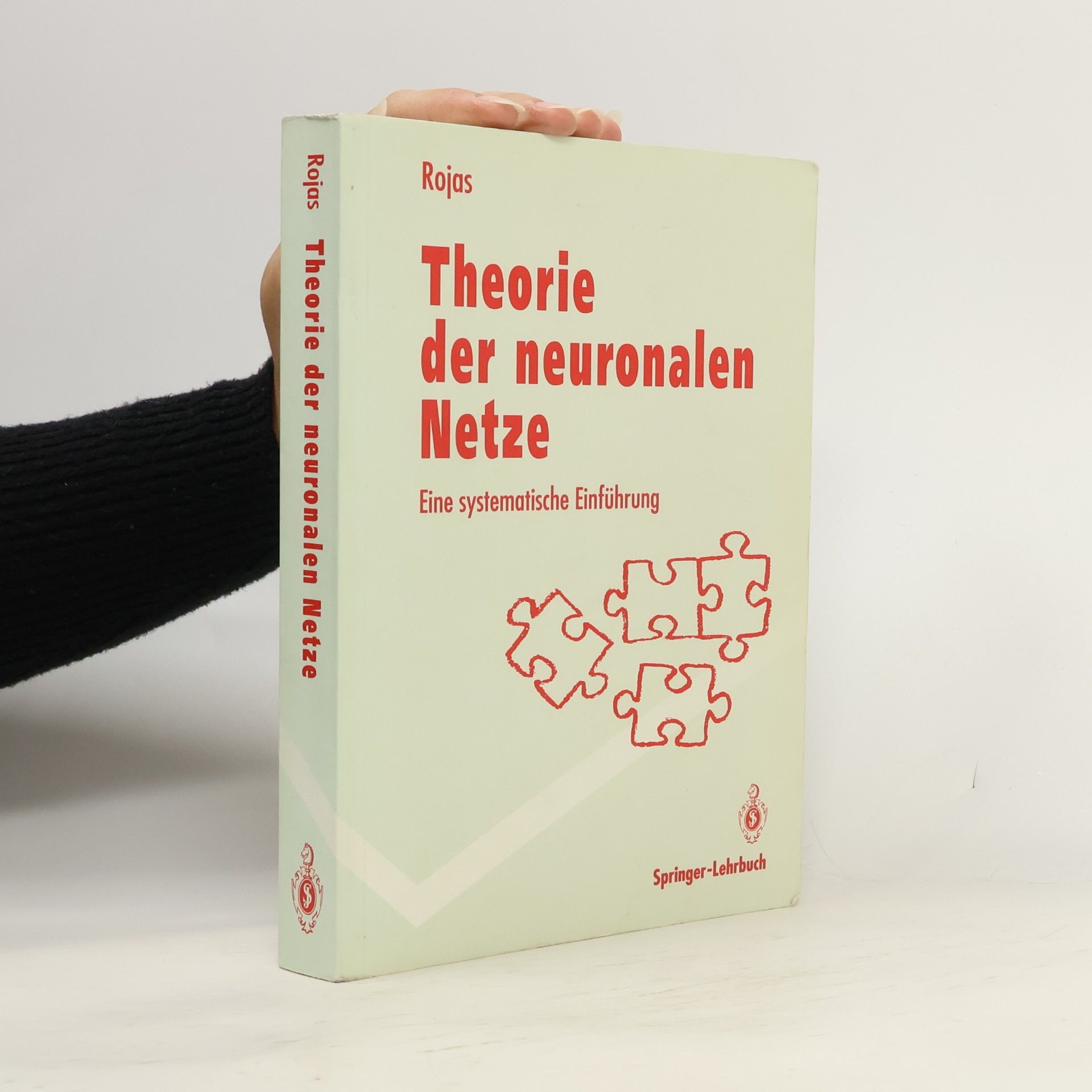 Raúl Rojas Springer-Lehrbuch: Theorie der neuronalen Netze