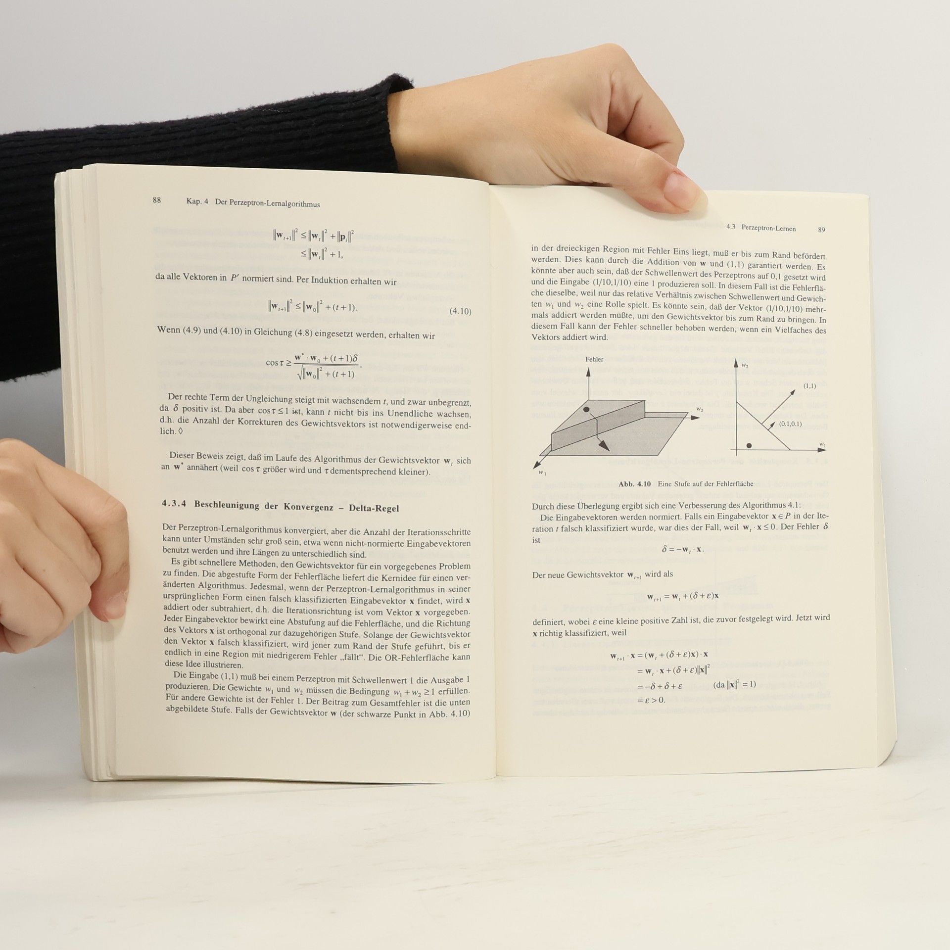 Raúl Rojas Springer-Lehrbuch: Theorie der neuronalen Netze