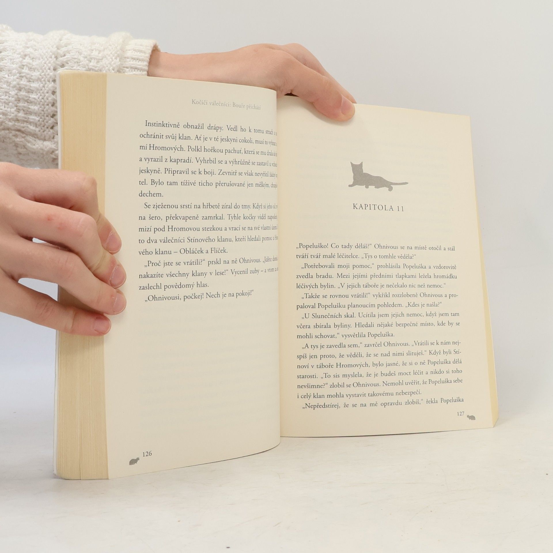 Erin Hunter Bouře přichází. Kočičí válečníci