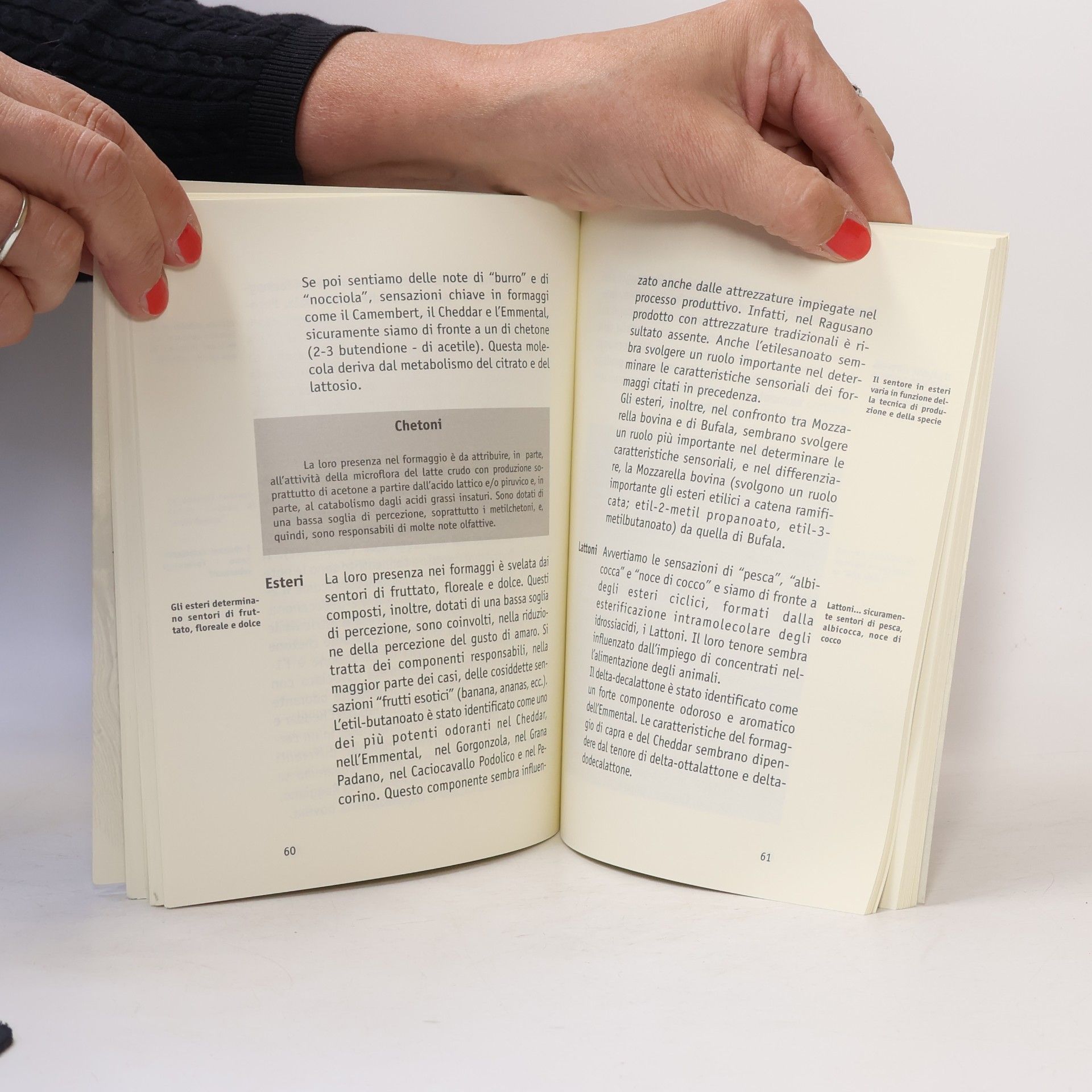 Salvatore Claps La biblioteca di Caseus: A me il naso cheese o della tecnica di degustazione per appropriarsi della chiave di lettura della qualità dei formaggi