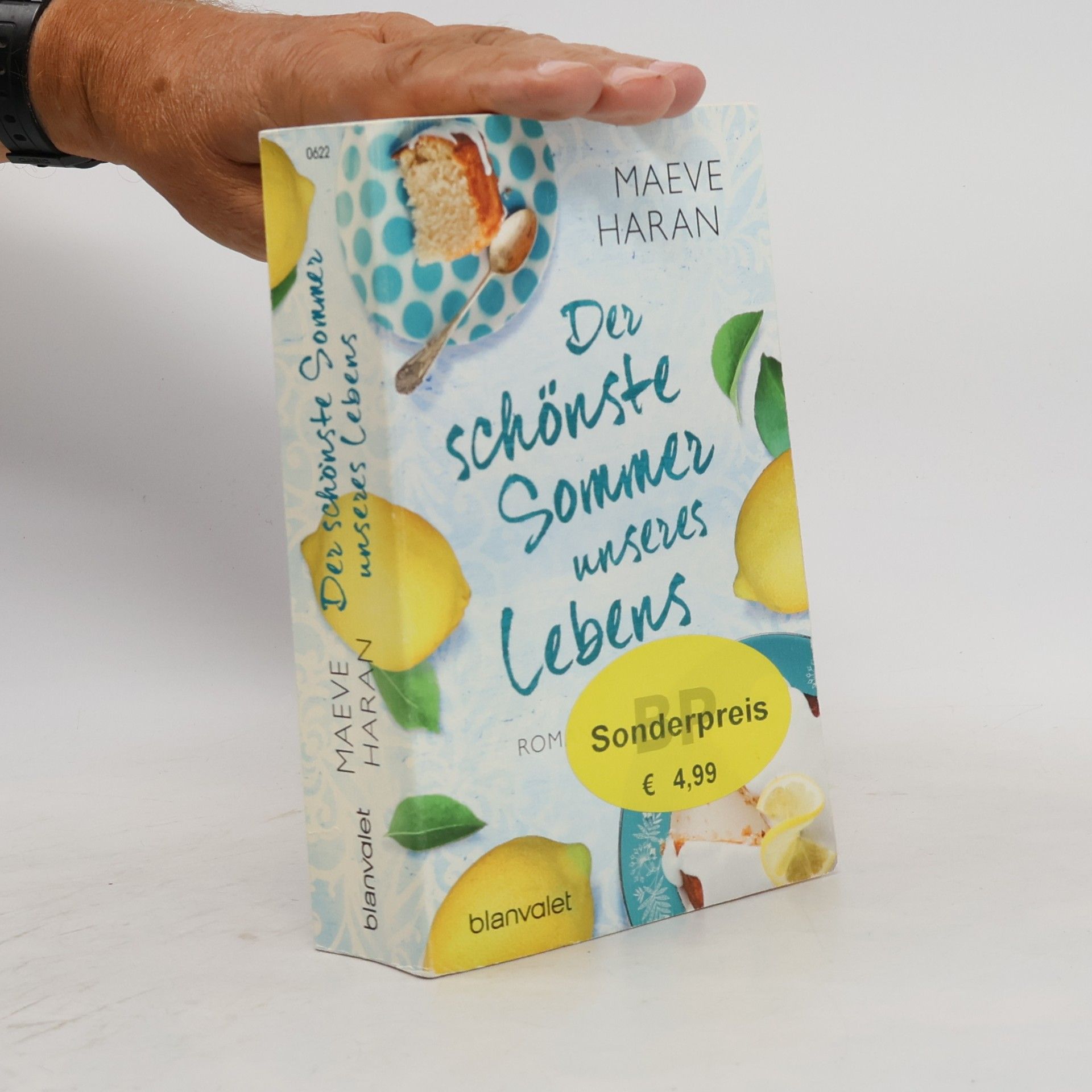 Maeve Haran Der schönste Sommer unseres Lebens