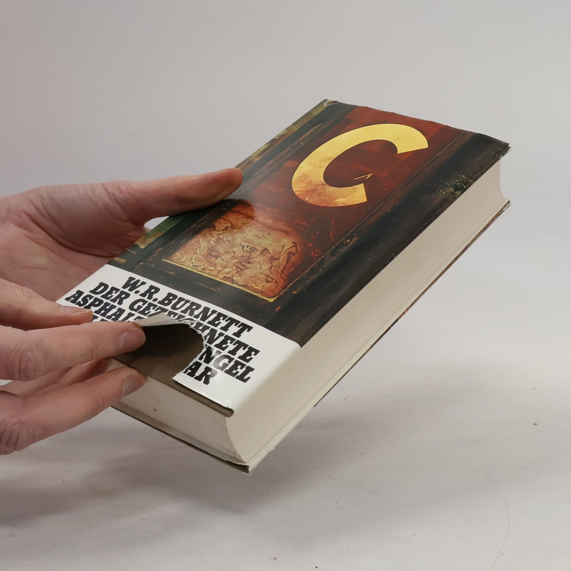 W. R. Burnett Der Gezeichnete asphaltdschungel