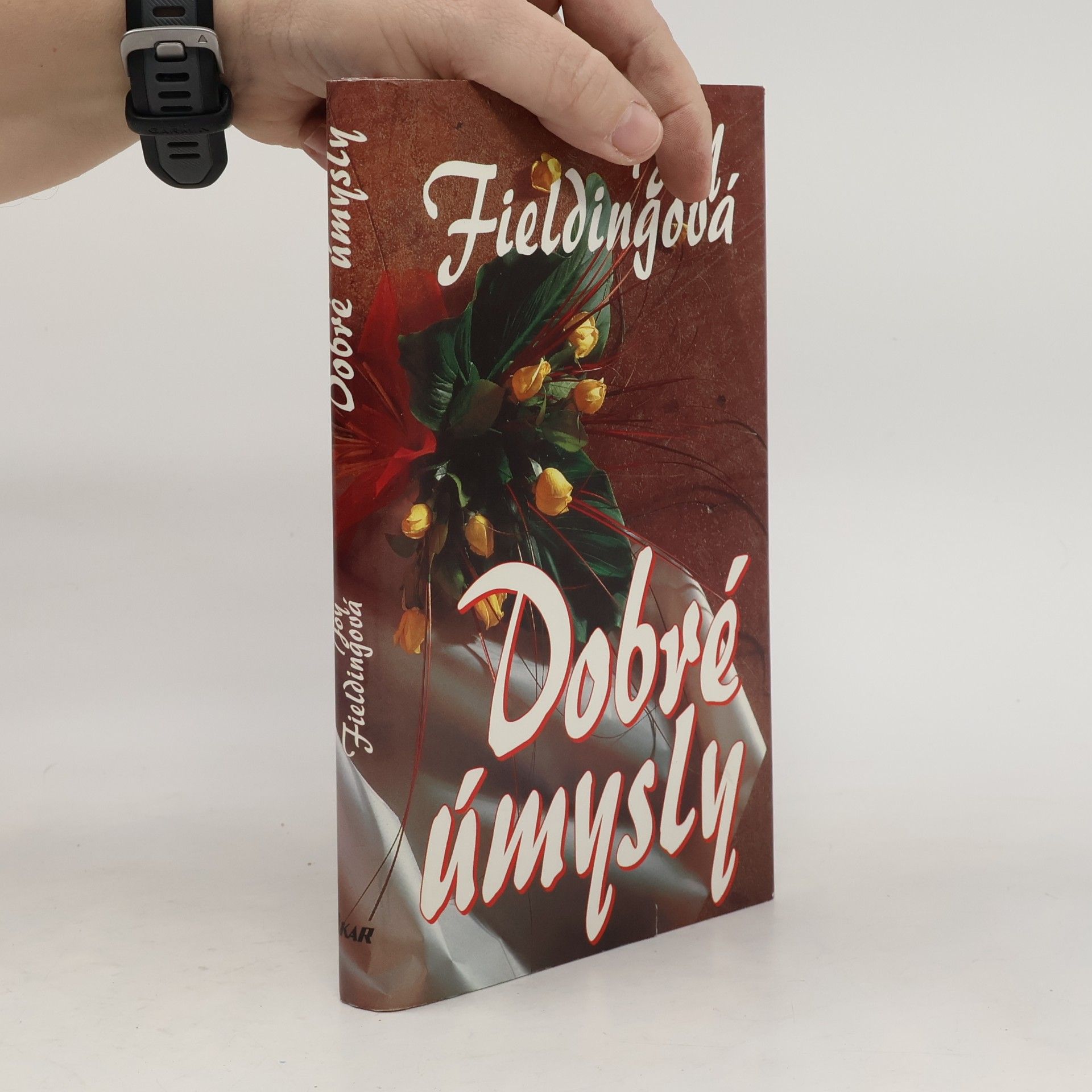 Joy Fielding Dobré úmysly