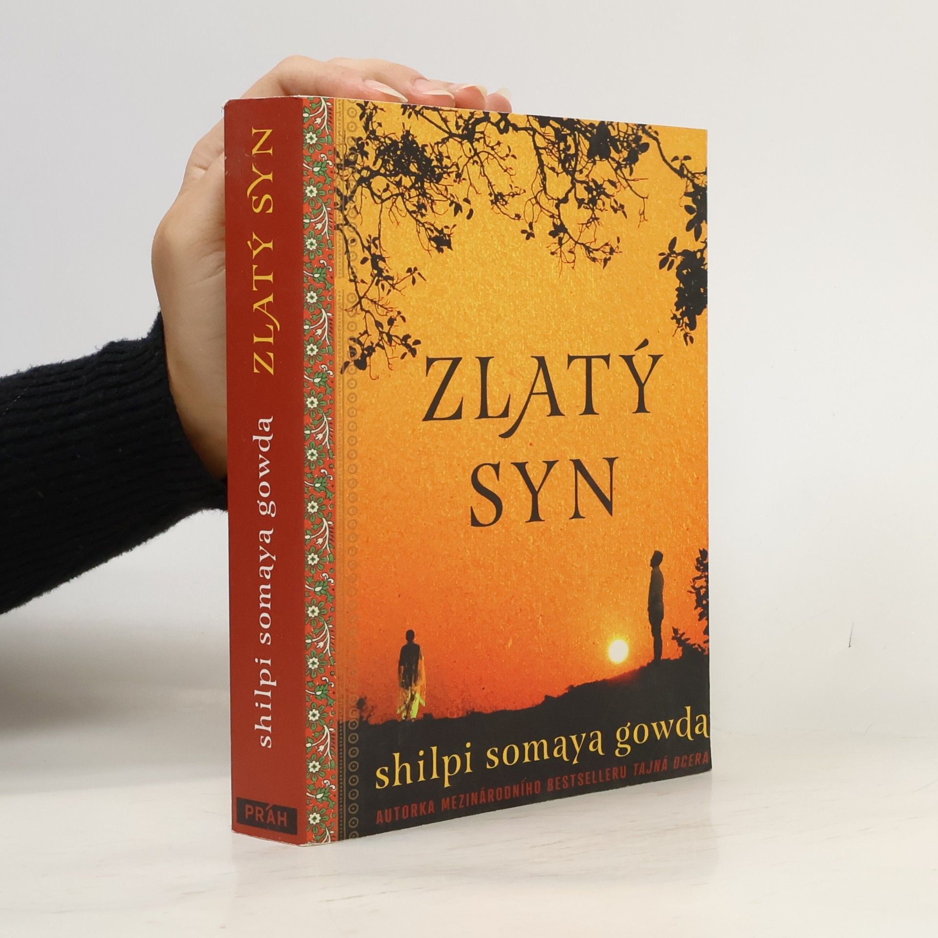Shilpi Somaya Gowda Zlatý syn