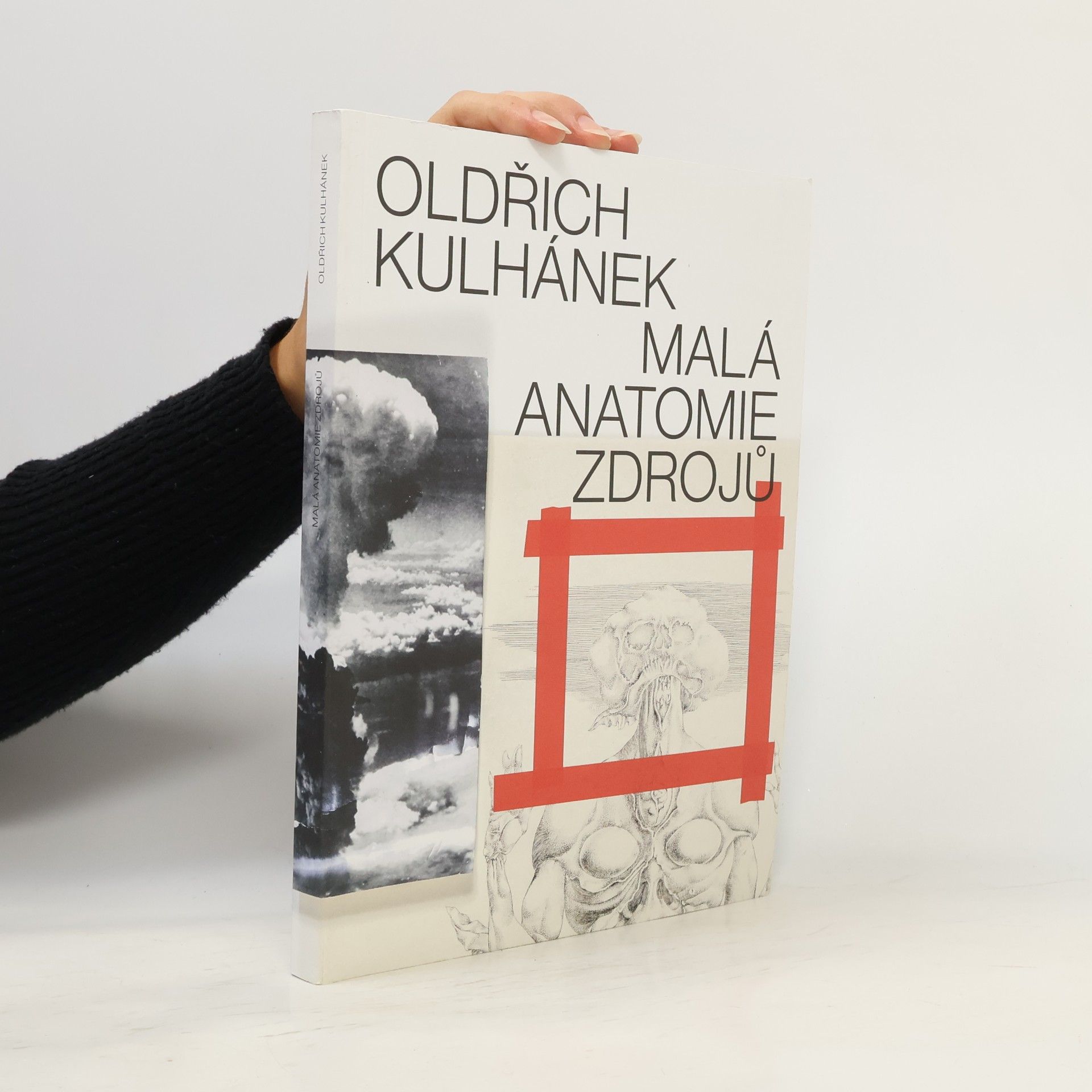kolektiv Oldřich Kulhánek - Malá anatomie zdrojů