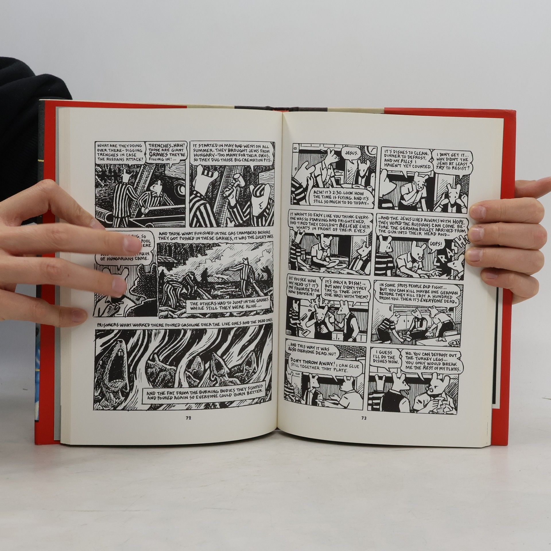 Art Spiegelman A Survivor's Tale: Maus II