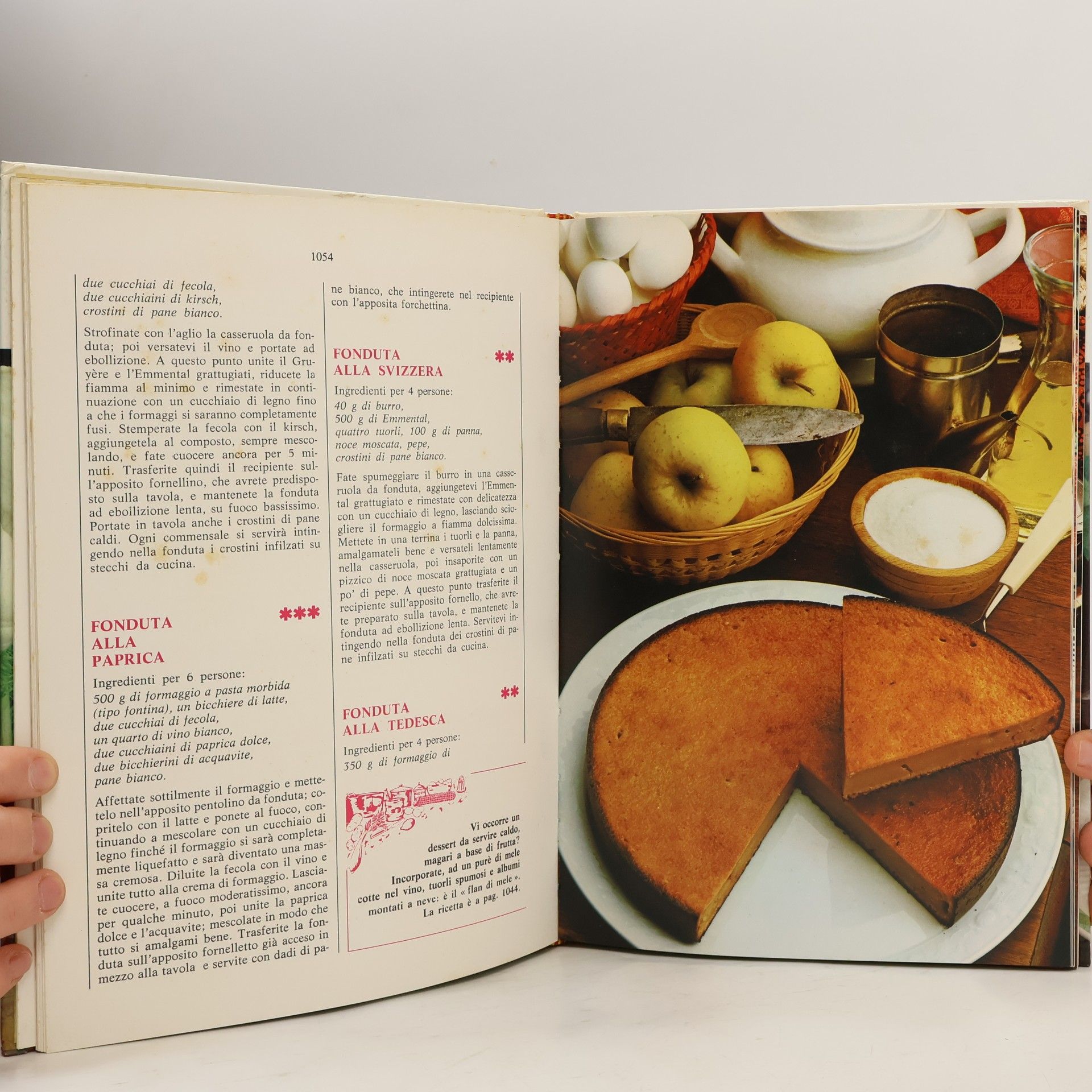 kolektiv La Buona Cucina 8