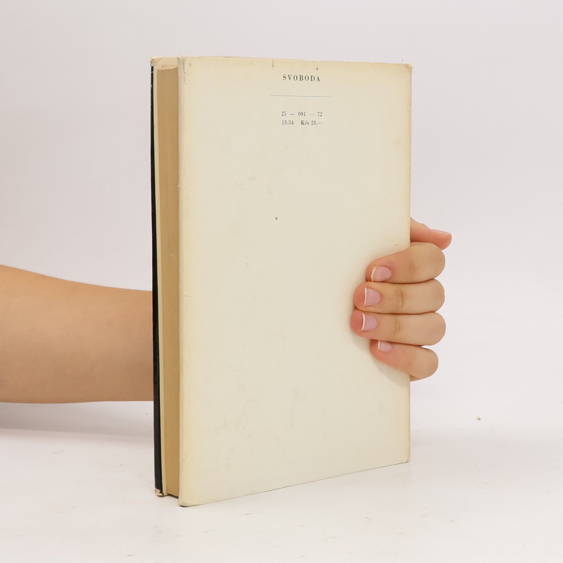 William Styron Doznání Nata Turnera