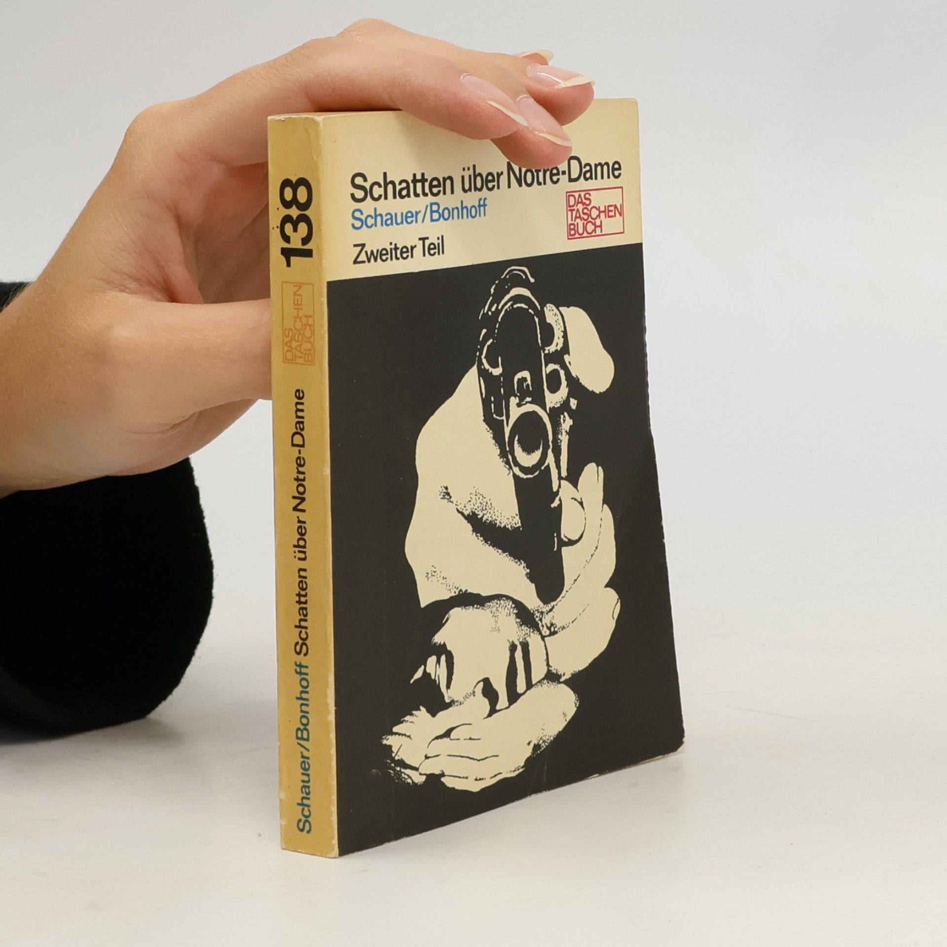 Herbert Schauer Schatten über Notre-Dame