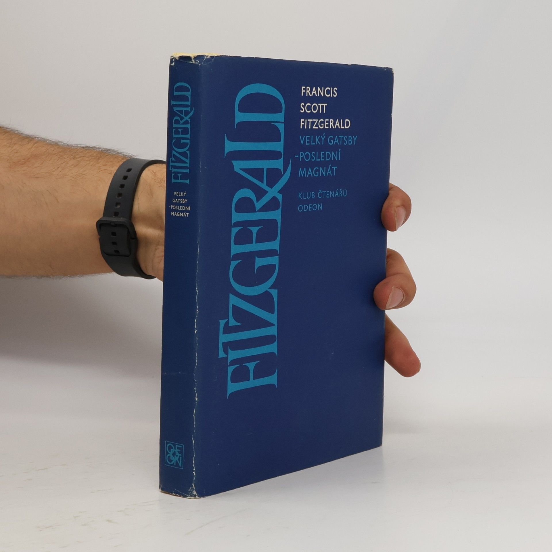 Francis Scott Fitzgerald Velký Gatsby. Poslední magnát