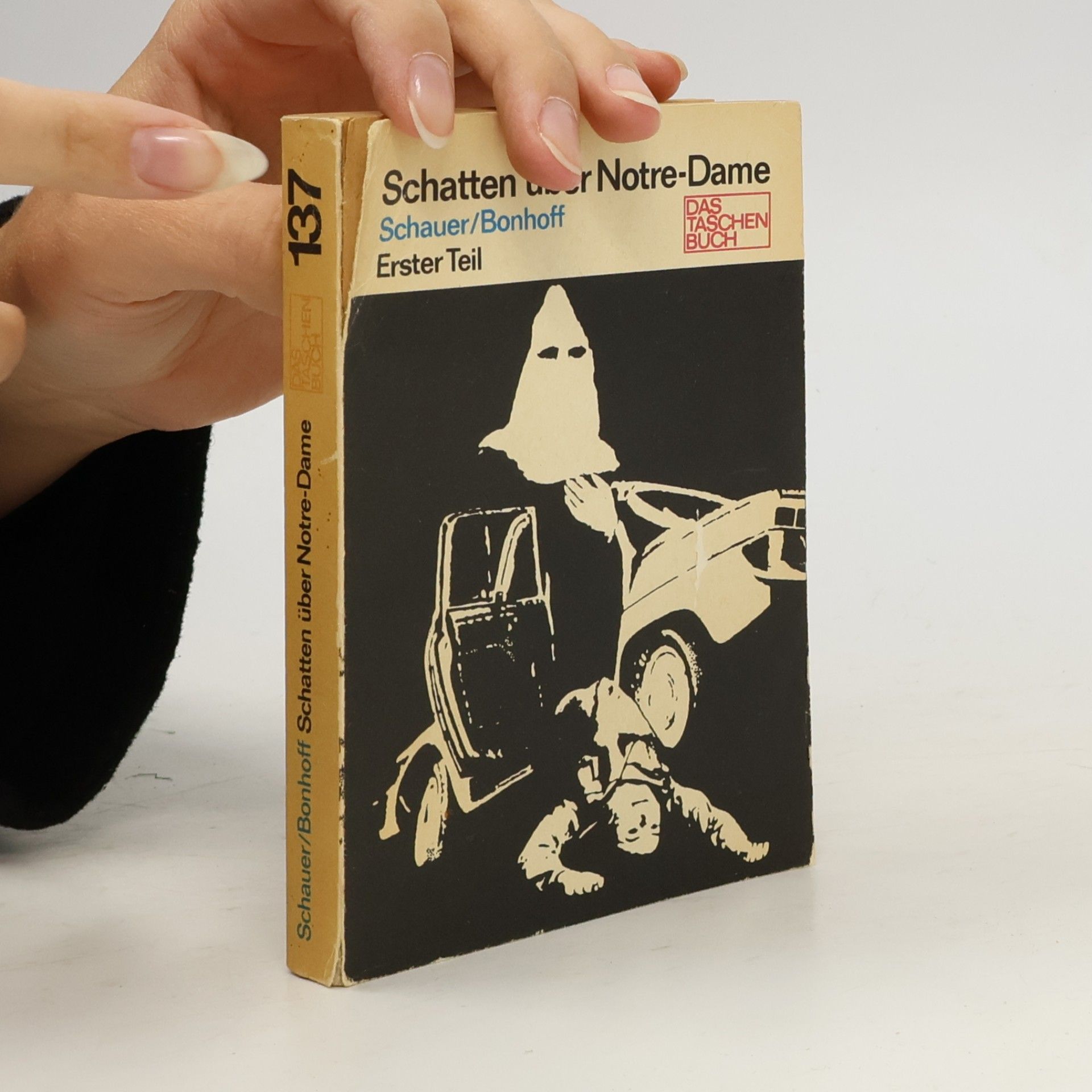 Herbert Schauer Schatten über Notre-Dame I.
