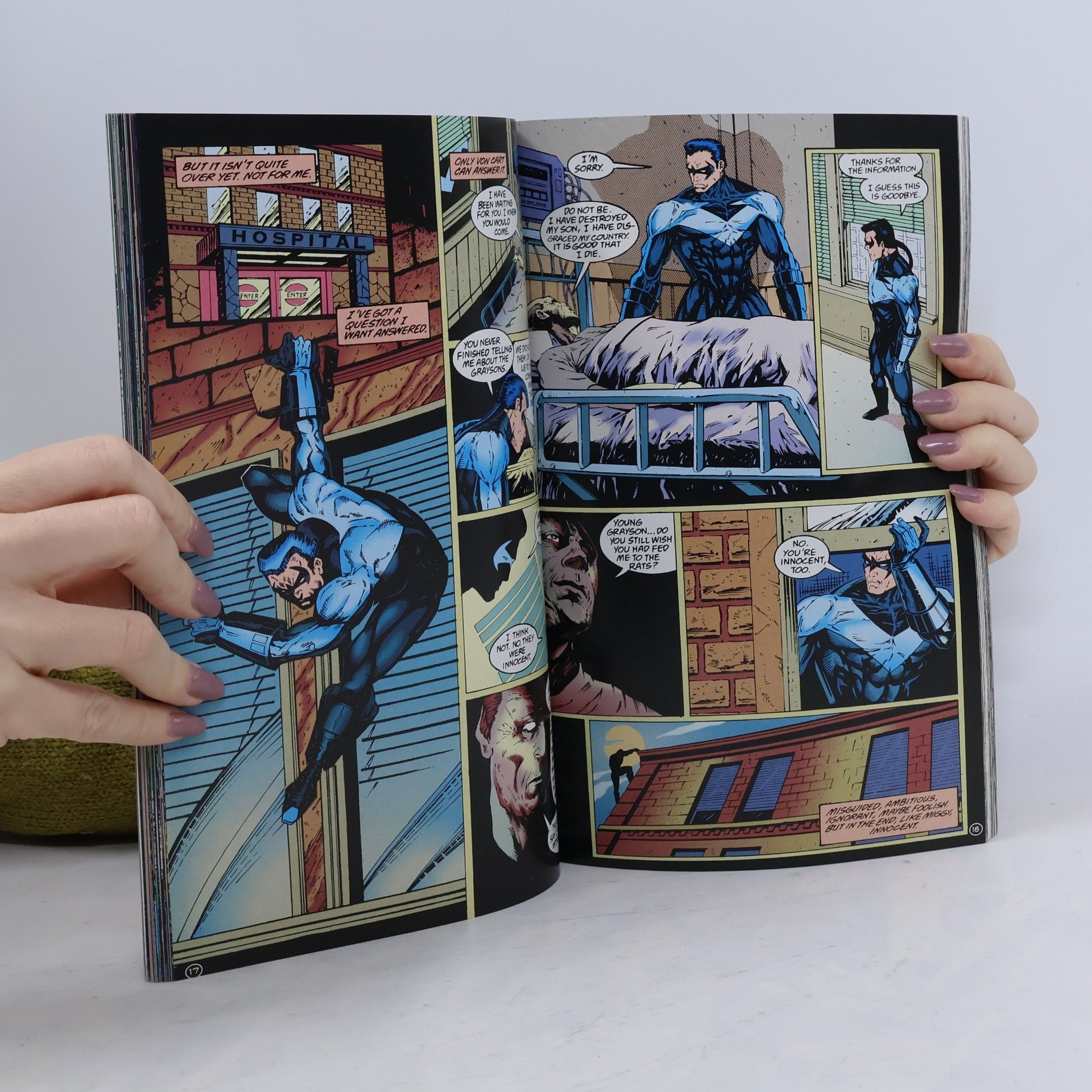 Dennis O'Neil Nightwing - 1: Blüdhaven