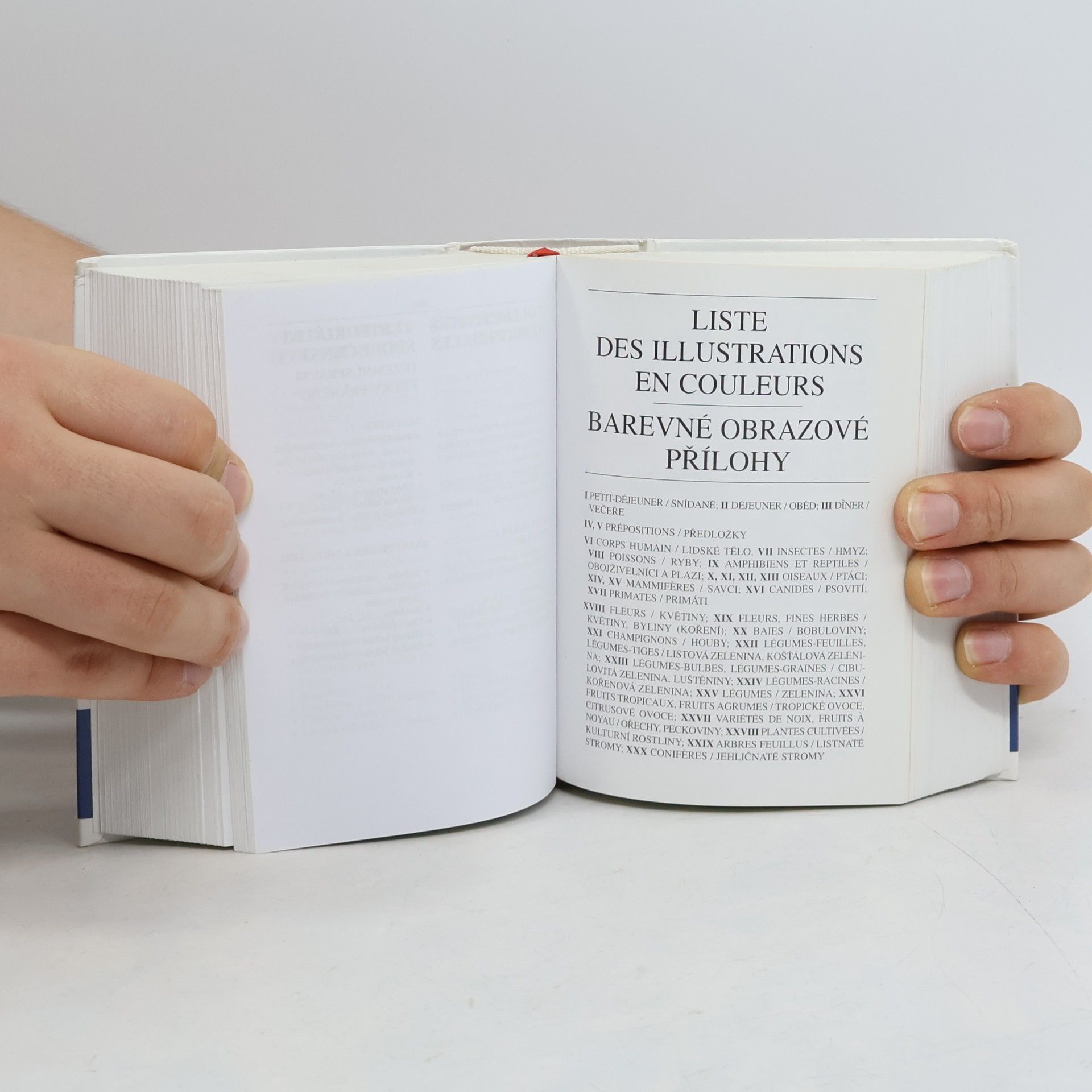 Iva Gailly Česko-francouzský, francouzsko-český kapesní slovník s výslovností = Tchèque-français, français-tchèque dictionnaire de poche avec la prononciation