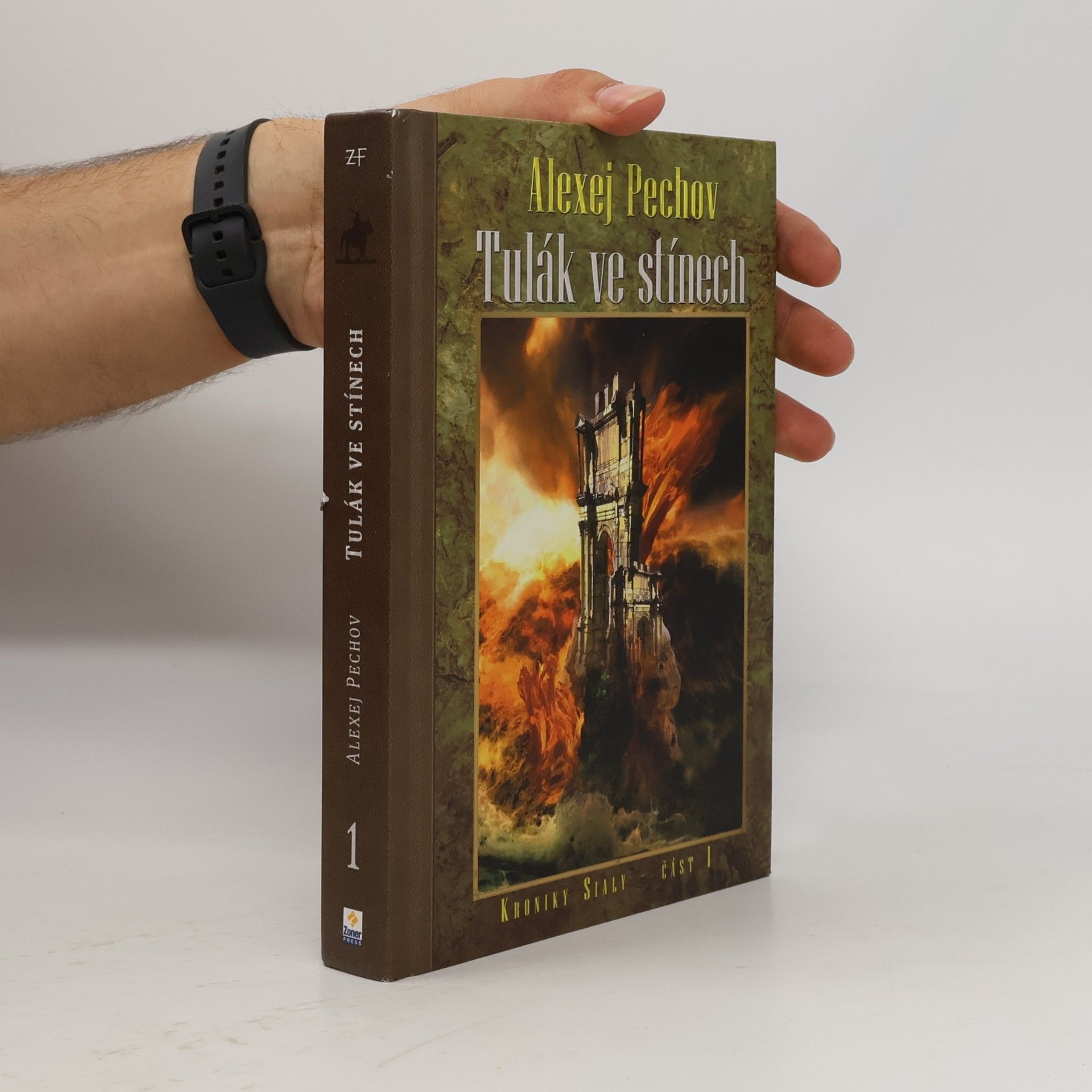 Kroniky Sialy. Kniha 1, Tulák ve stínech