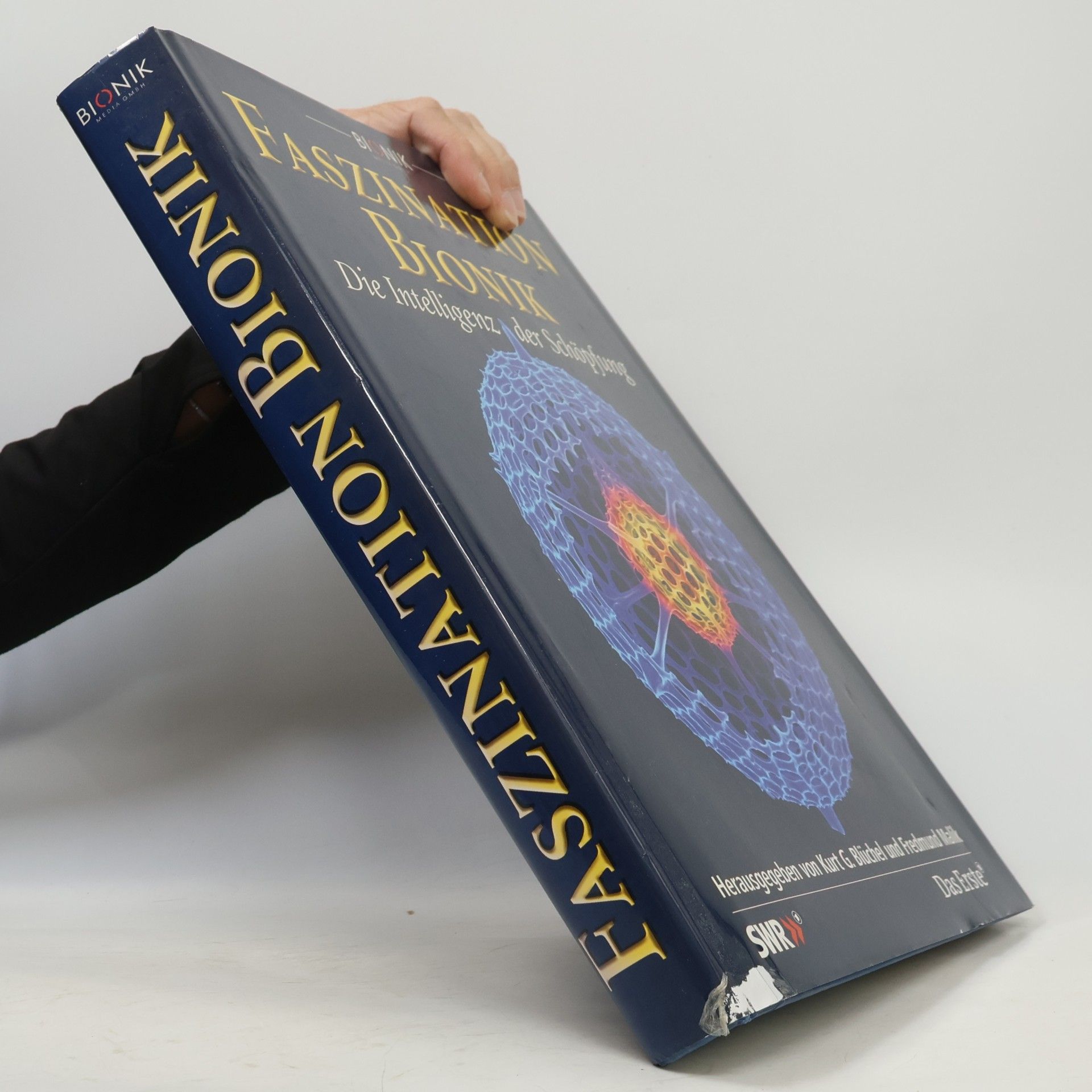 Faszination Bionik. Die Intelligenz der Schöpfung