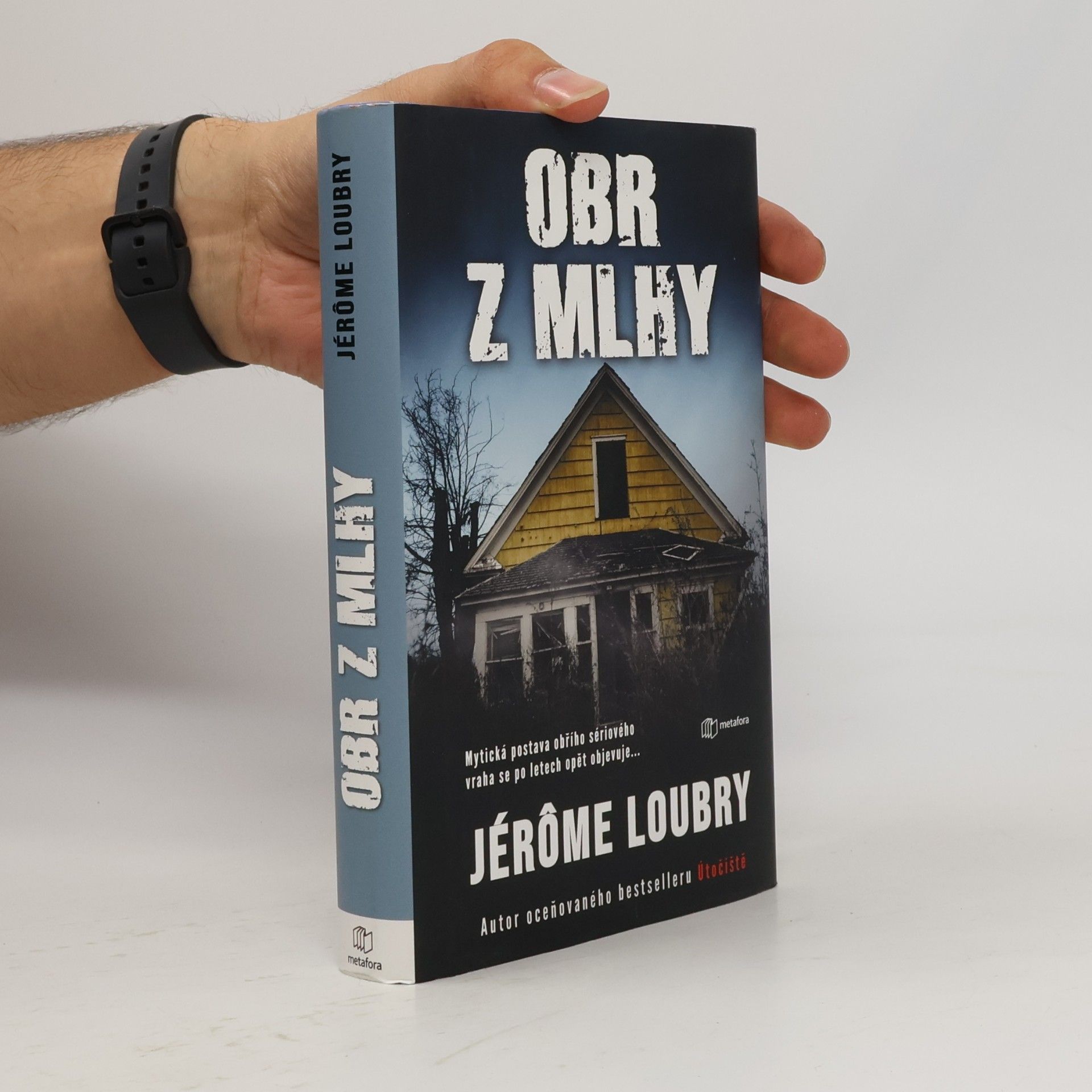 Jérôme Loubry Obr z mlhy