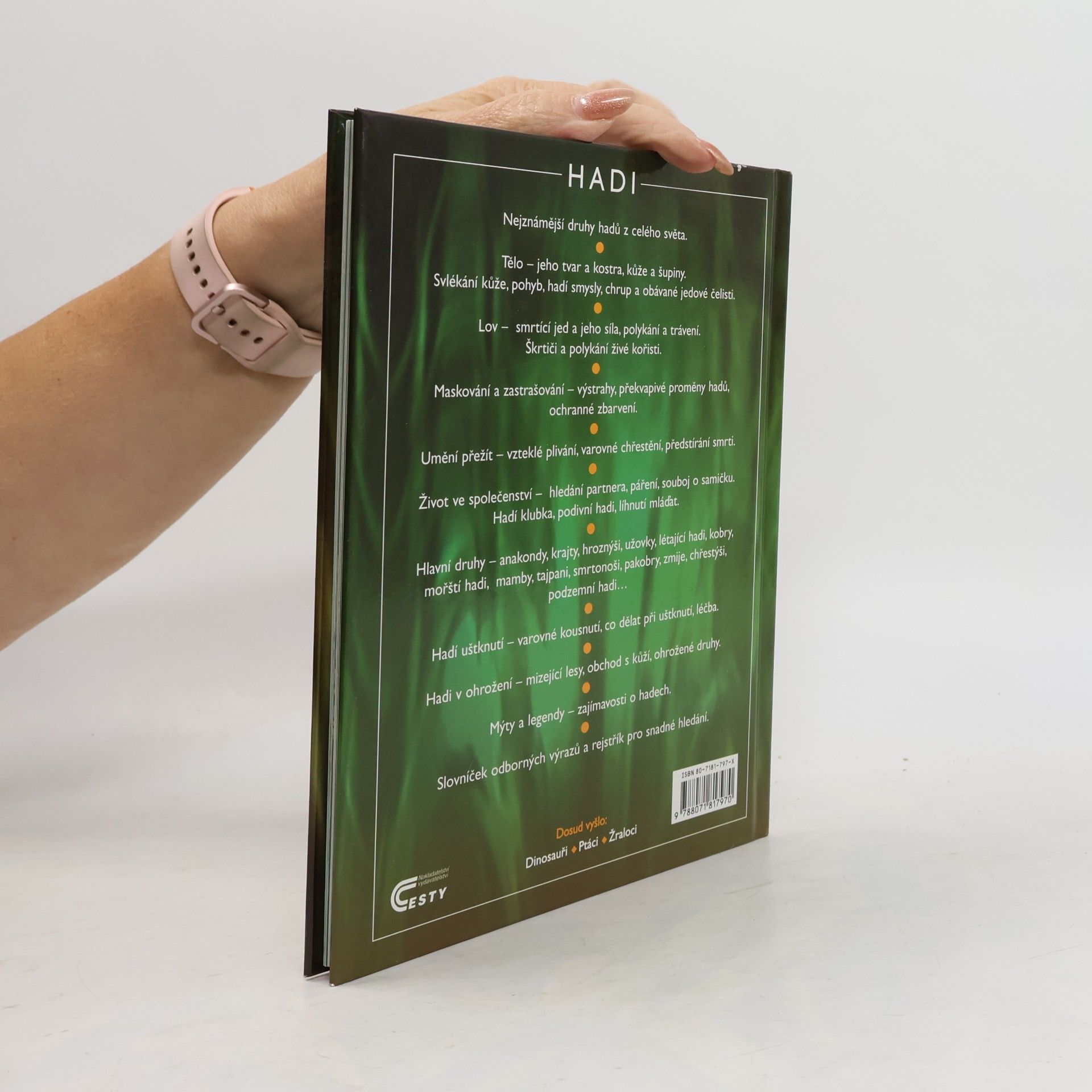 Rachel Firth Hadi
