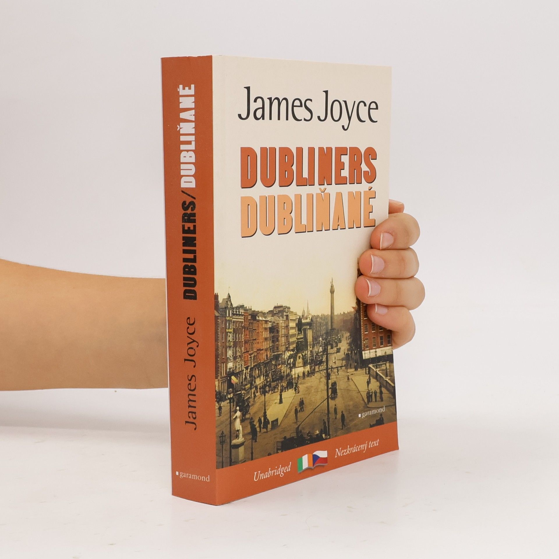 James Joyce Dubliners / Dubliňané