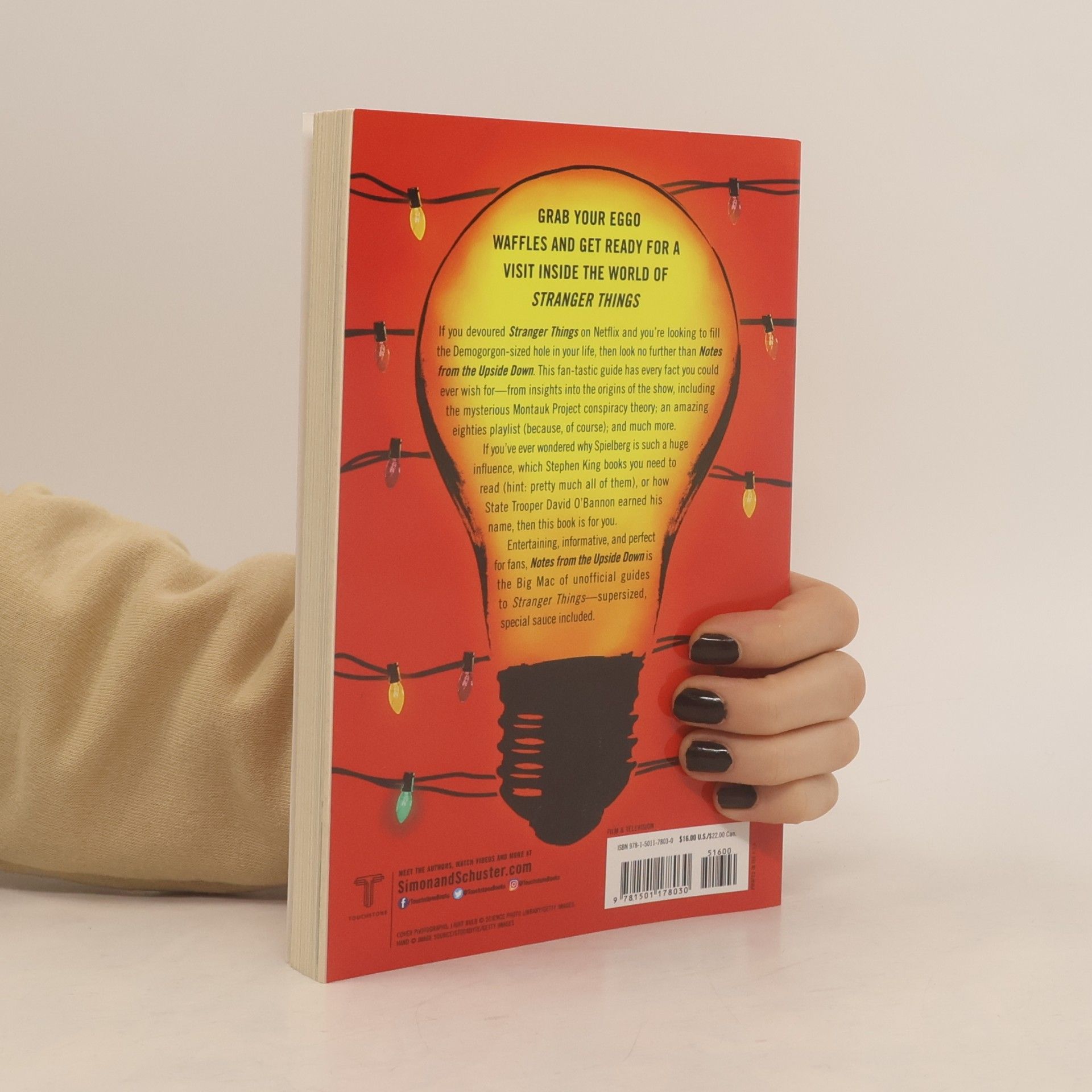 Guy Adams Notes from the Upside Down