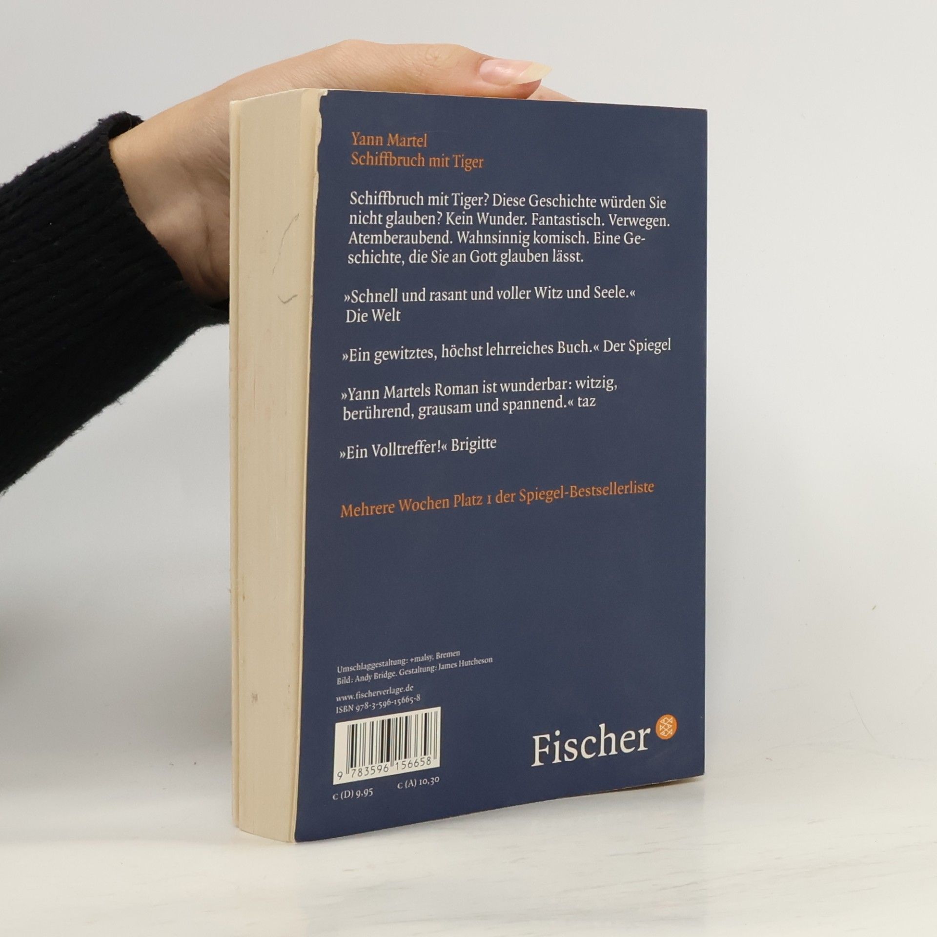 Yann Martel Schiffbruch mit Tiger