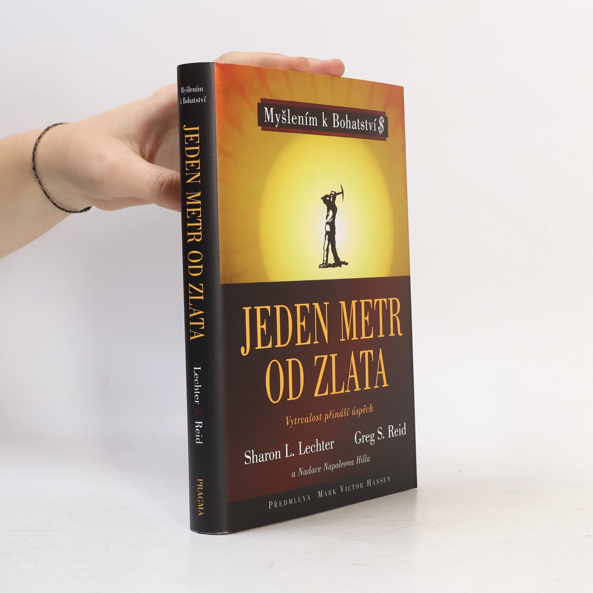 Kolektiv autorů Jeden metr od zlata. Vytrvalost přináší úspěch