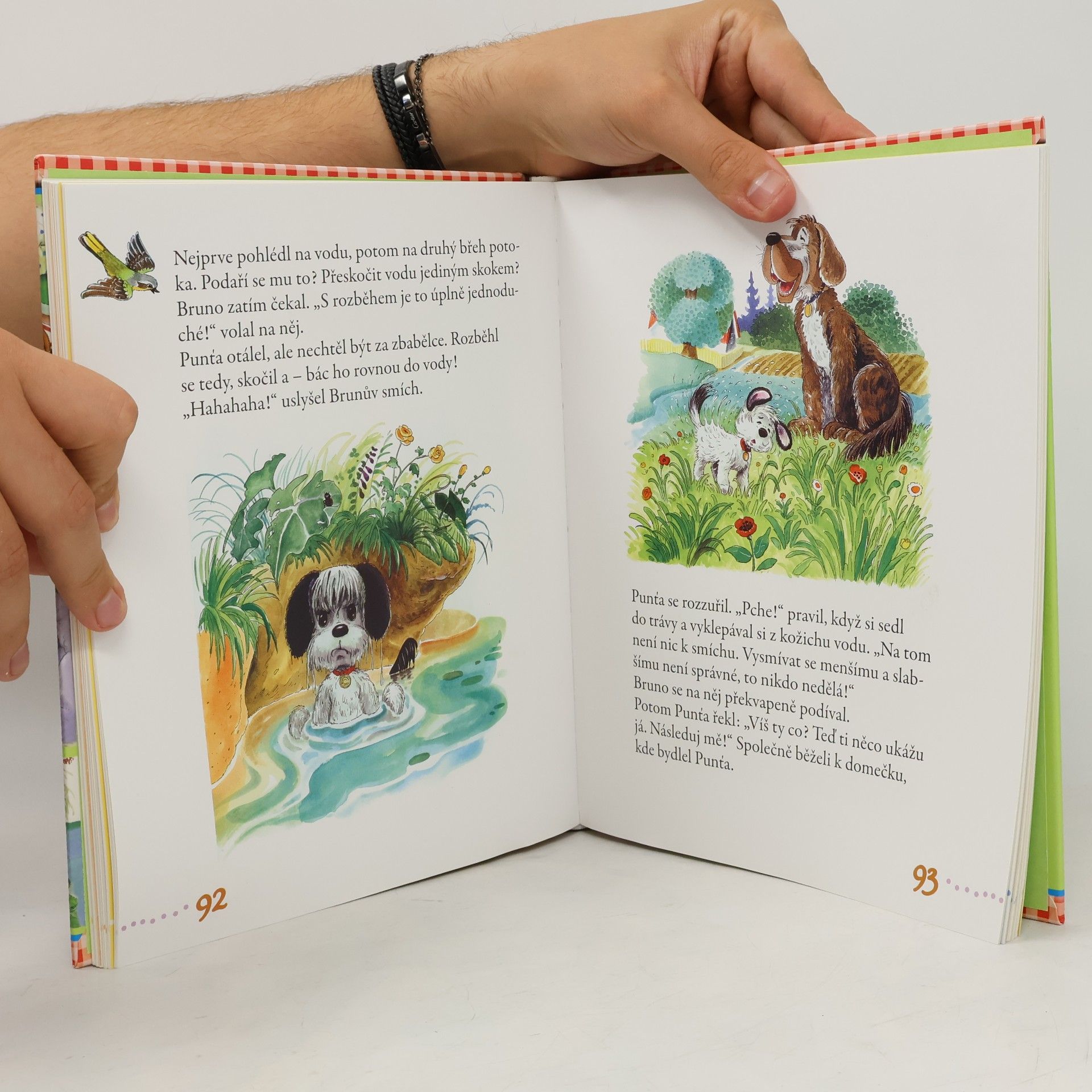 Anne Suess Meine schönsten Tierkinder Geschichten