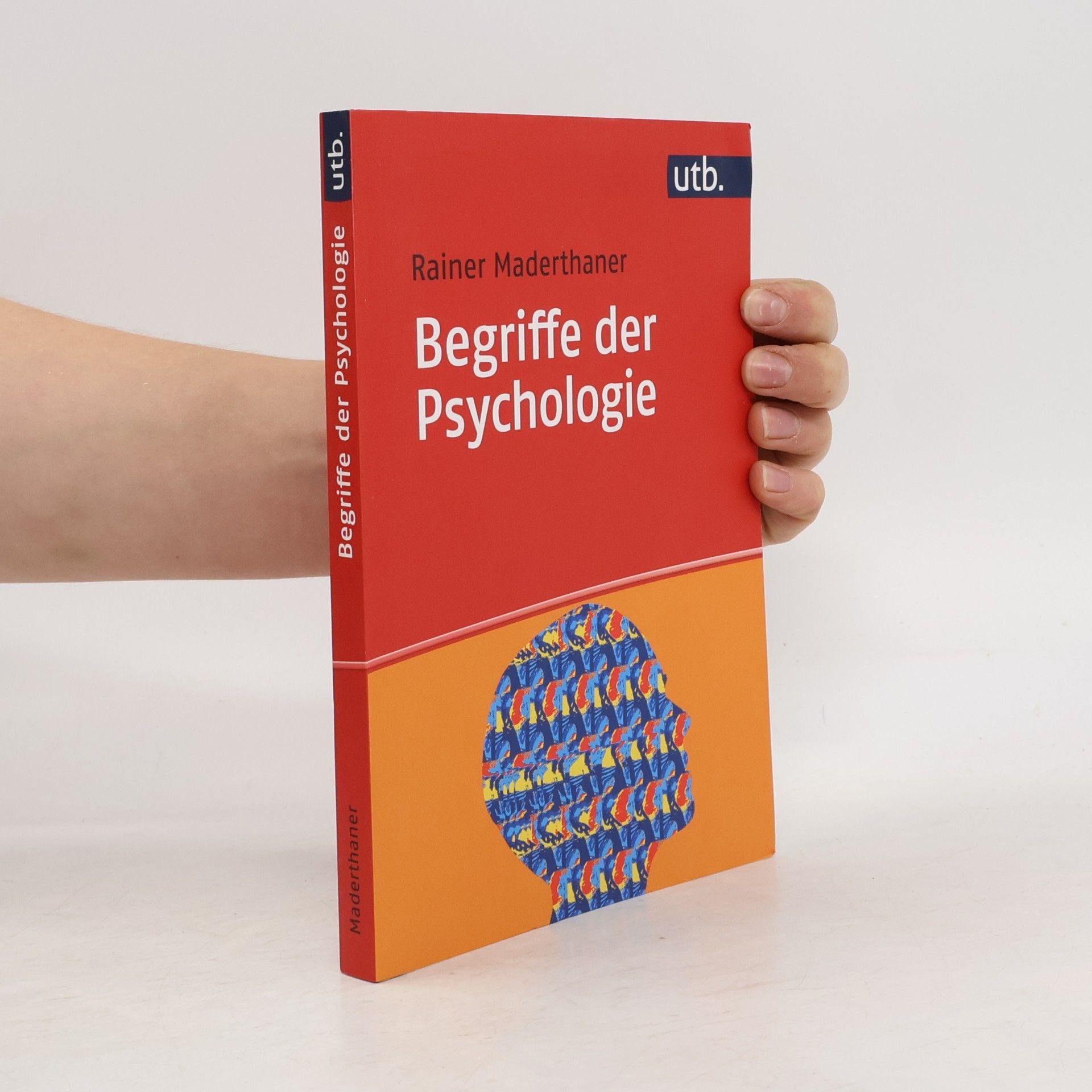 Rainer Maderthaner Begriffe der Psychologie