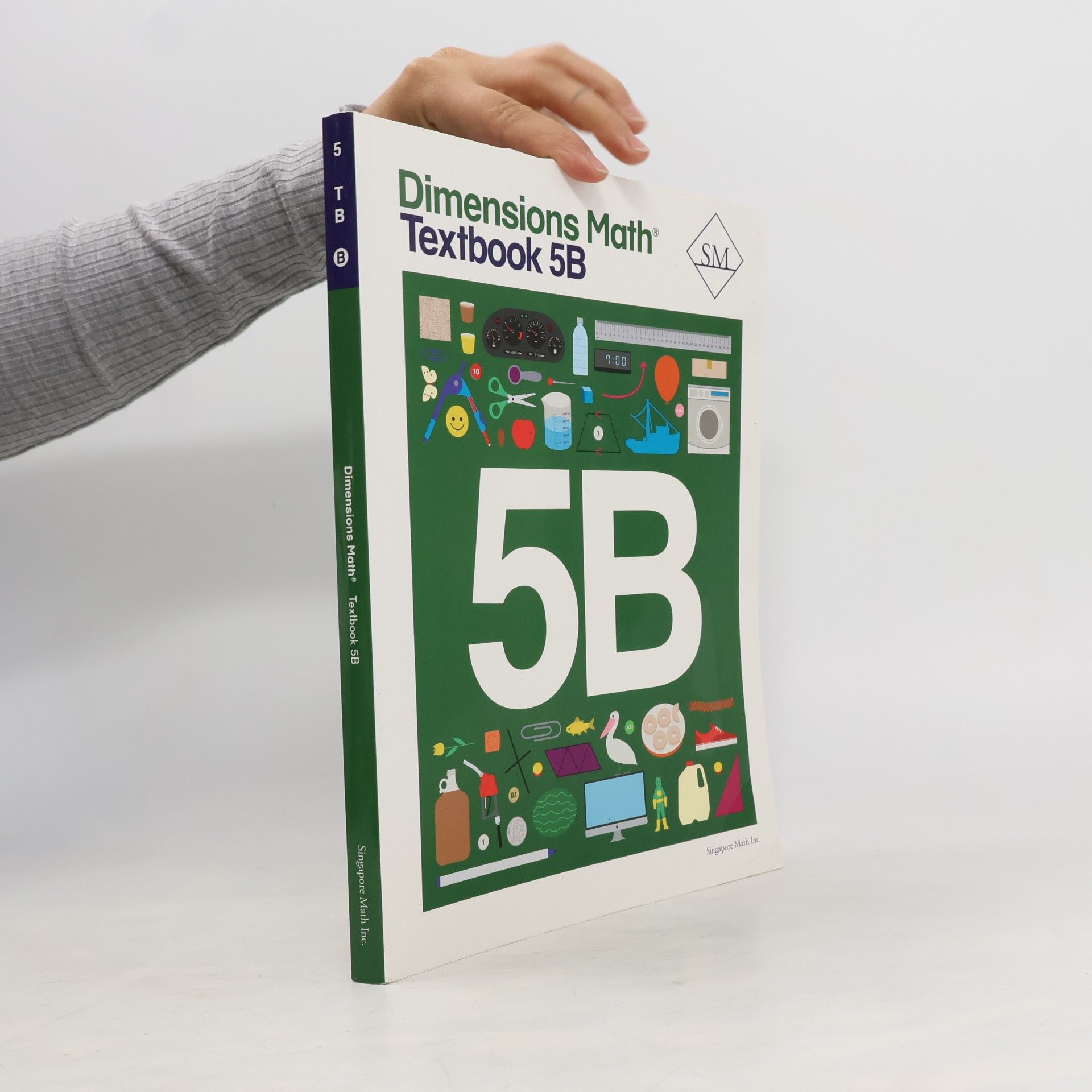 Kolektív autorov Dimensions Math Textbook 5B