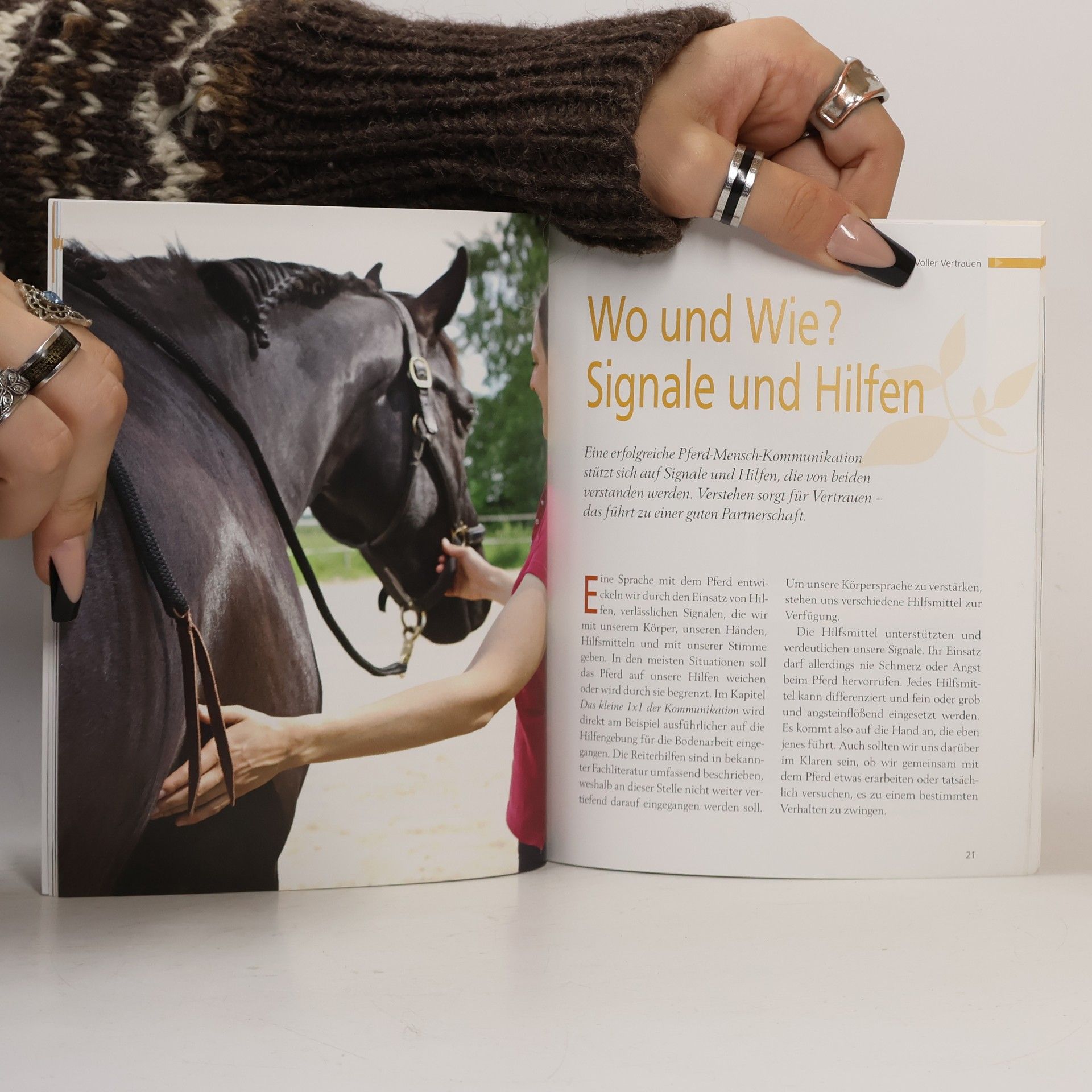 Cornelia Weidenauer Voller Vertrauen