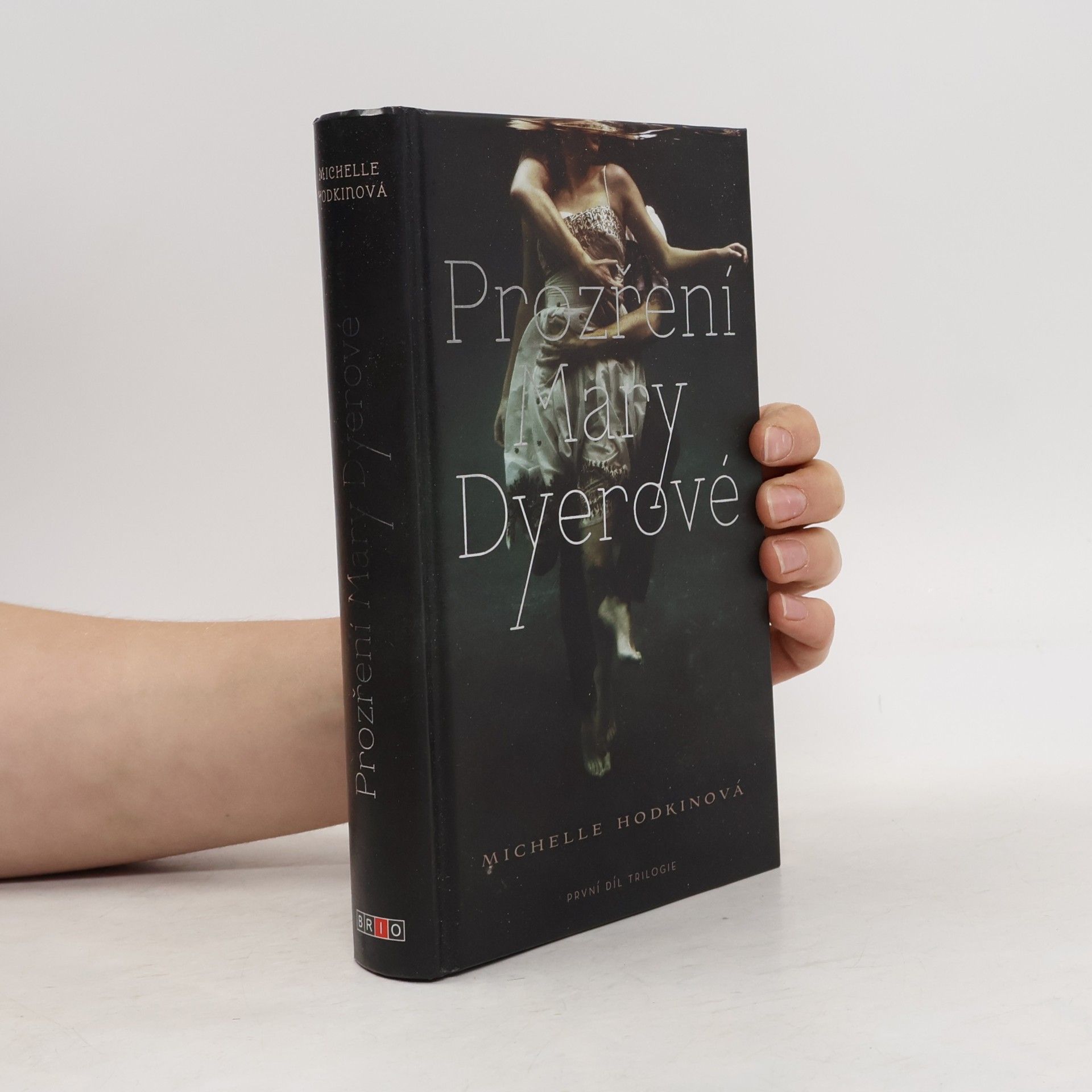 Michelle Hodkin Prozření Mary Dyerové