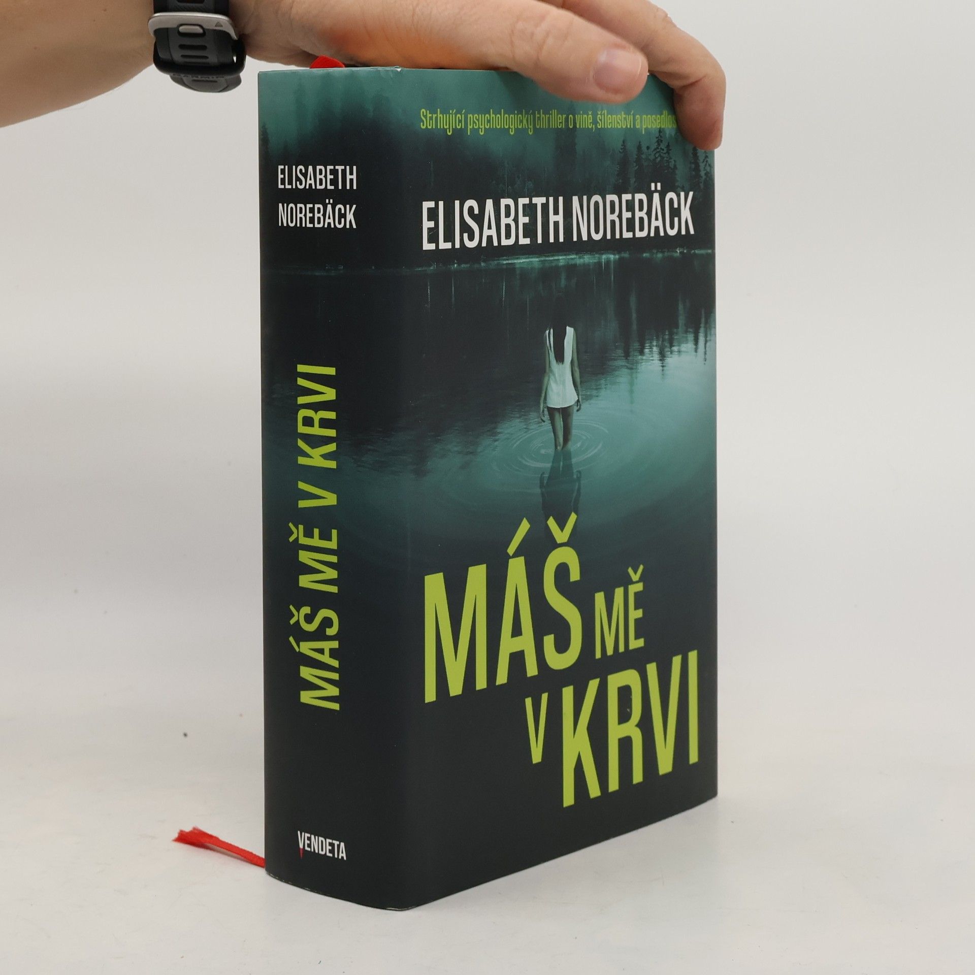 Elisabeth Norebäck Máš mě v krvi
