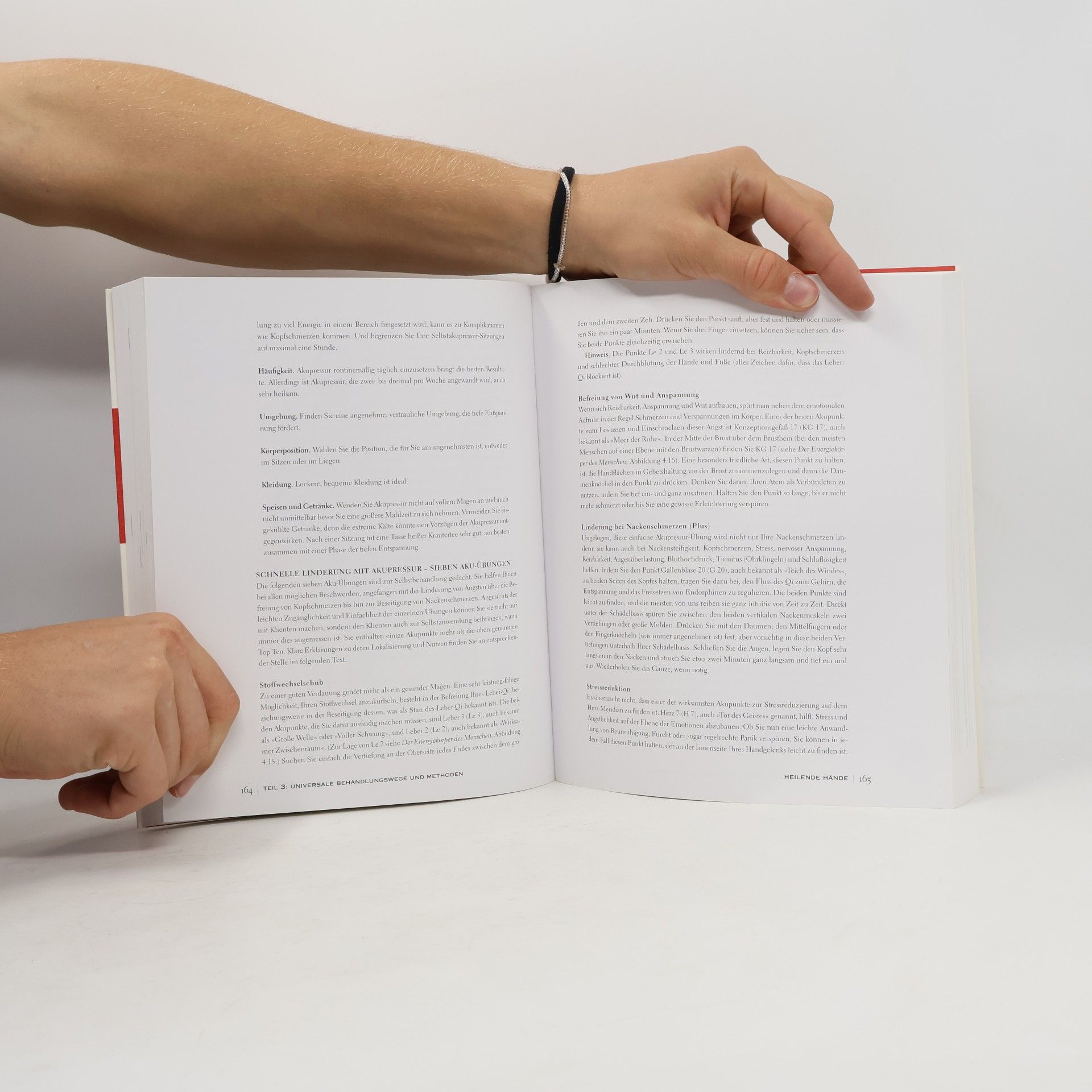 Cyndi Dale Das Handbuch der Energiemedizin