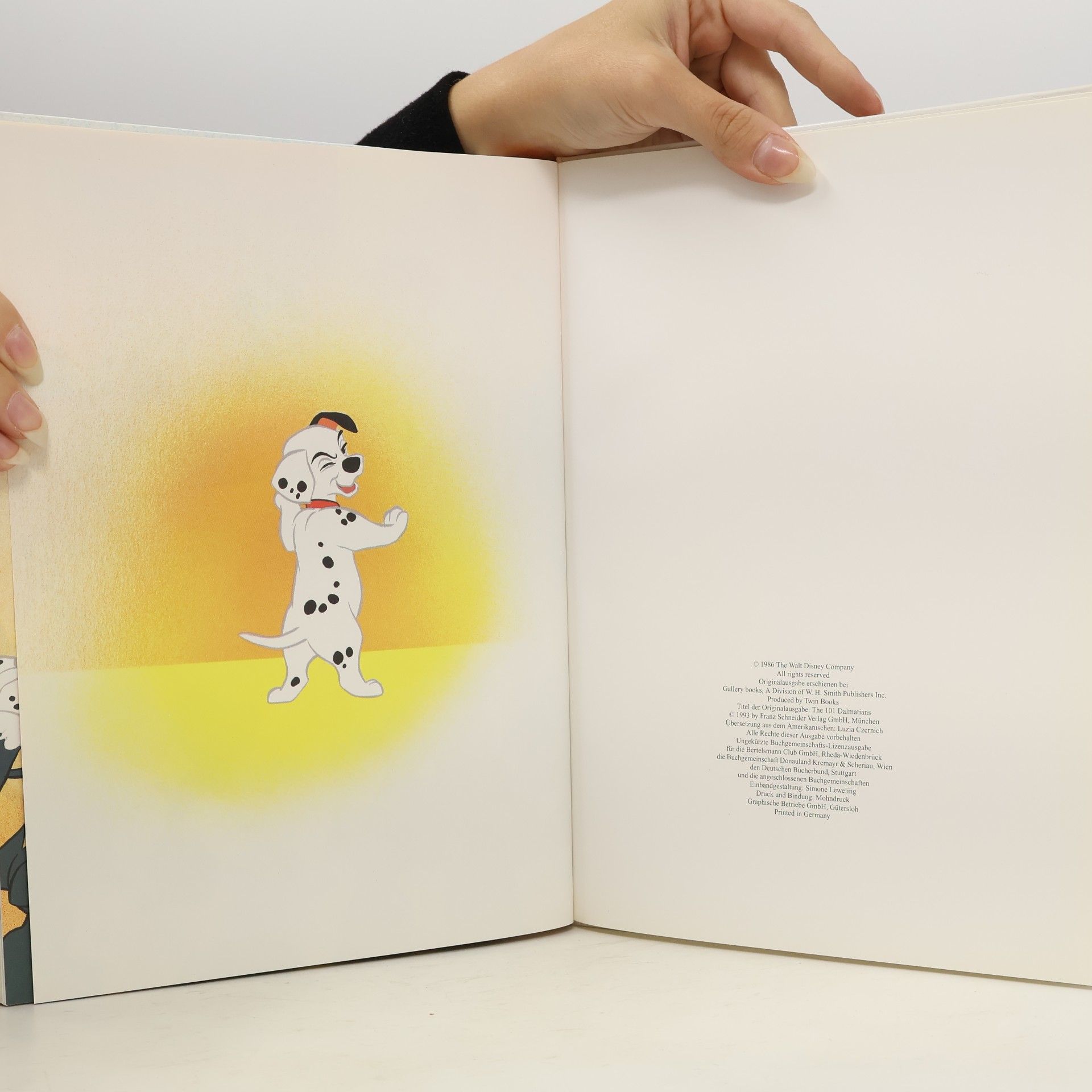 Autores varios 101 Dalmatiner