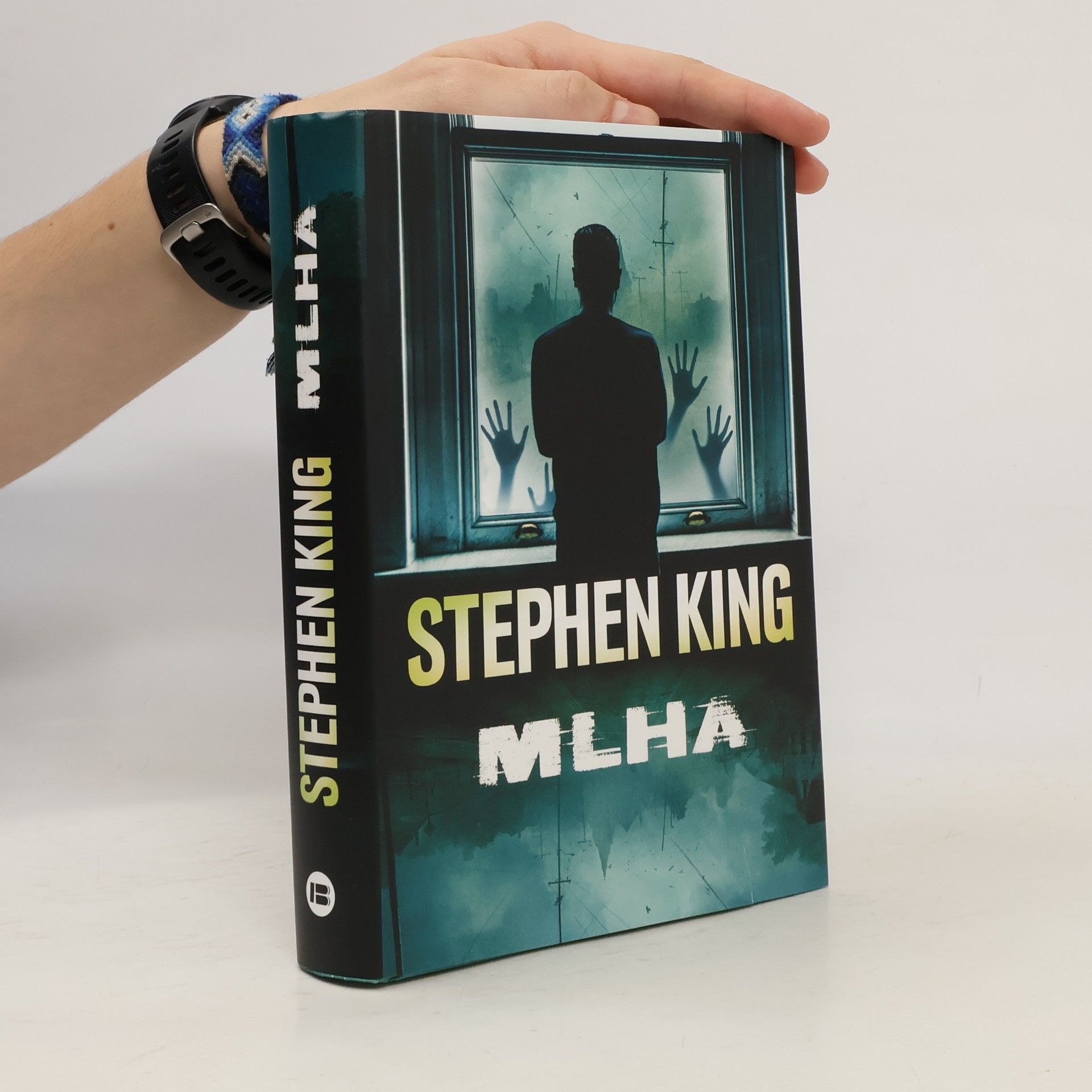 Stephen King Mlha