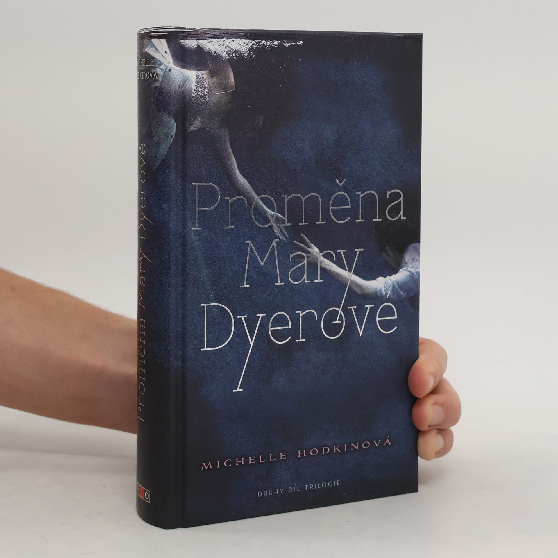 Michelle Hodkin Proměna Mary Dyerové