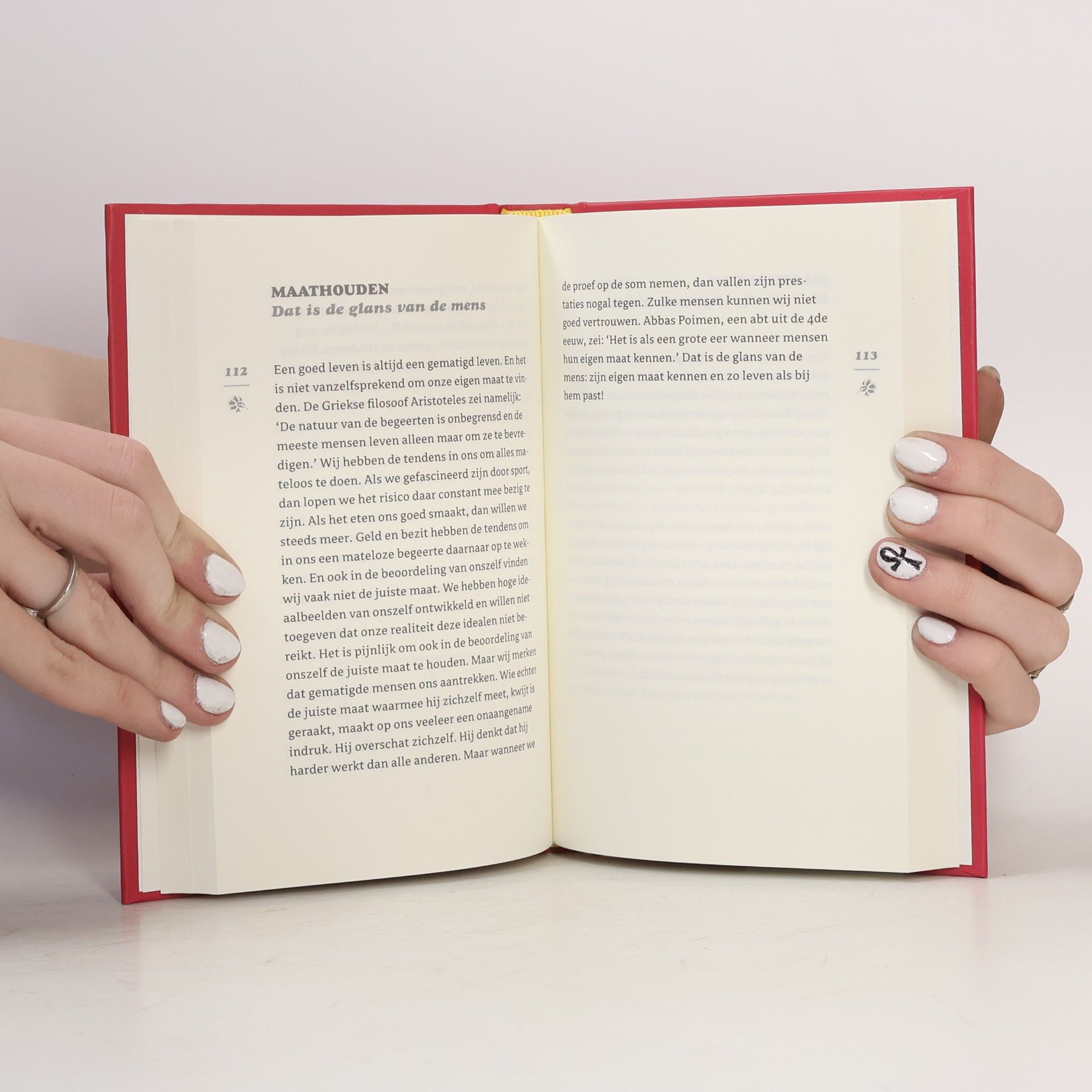 Anselm Grün Het kleine boek van het goede leven