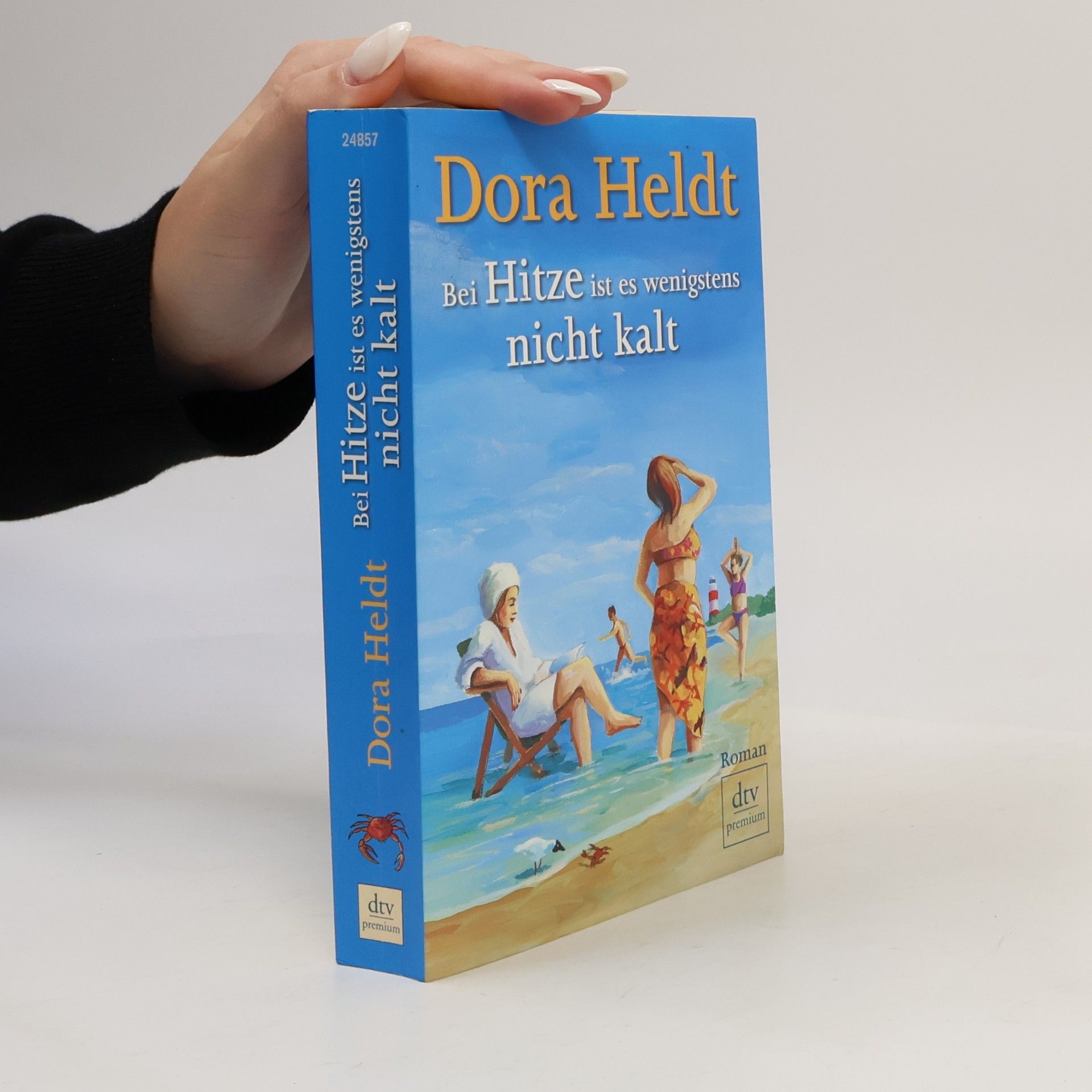 Dora Heldt Bei Hitze ist es wenigstens nicht kalt