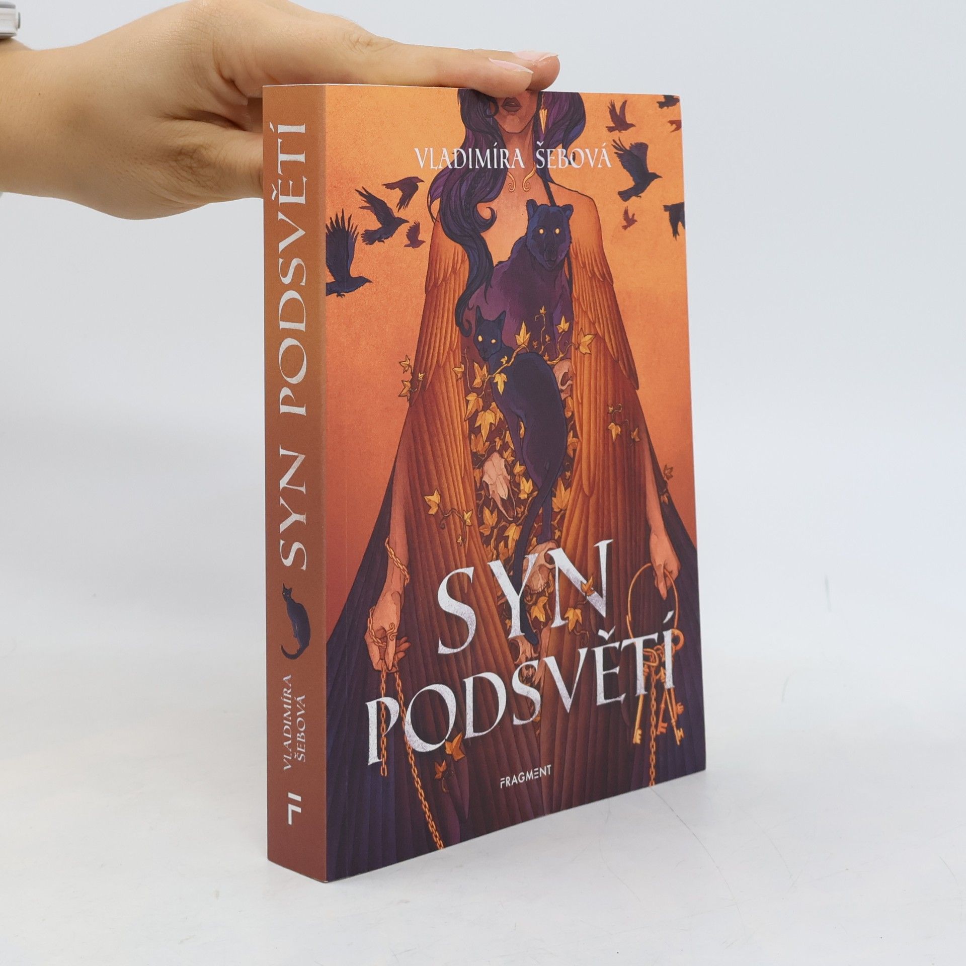 Vladimíra Šebová Syn podsvětí